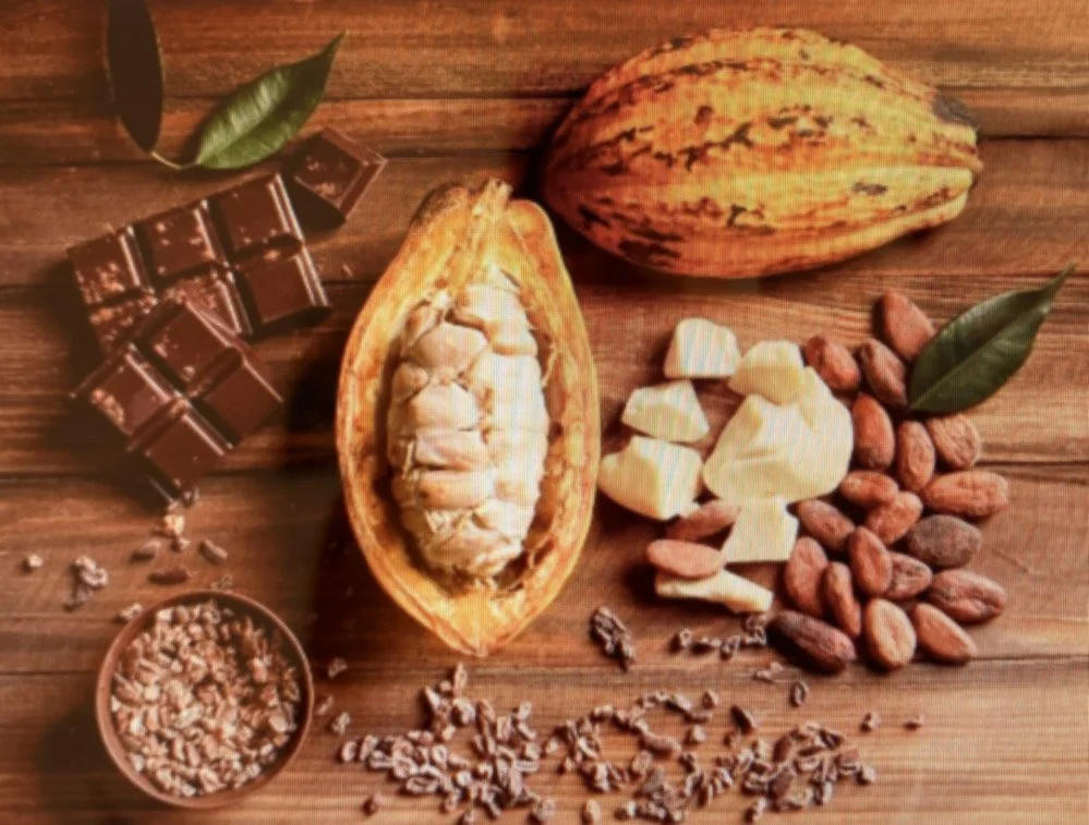 Theobroma Cacao ~ The Sacred History and Healing Power of Cacao