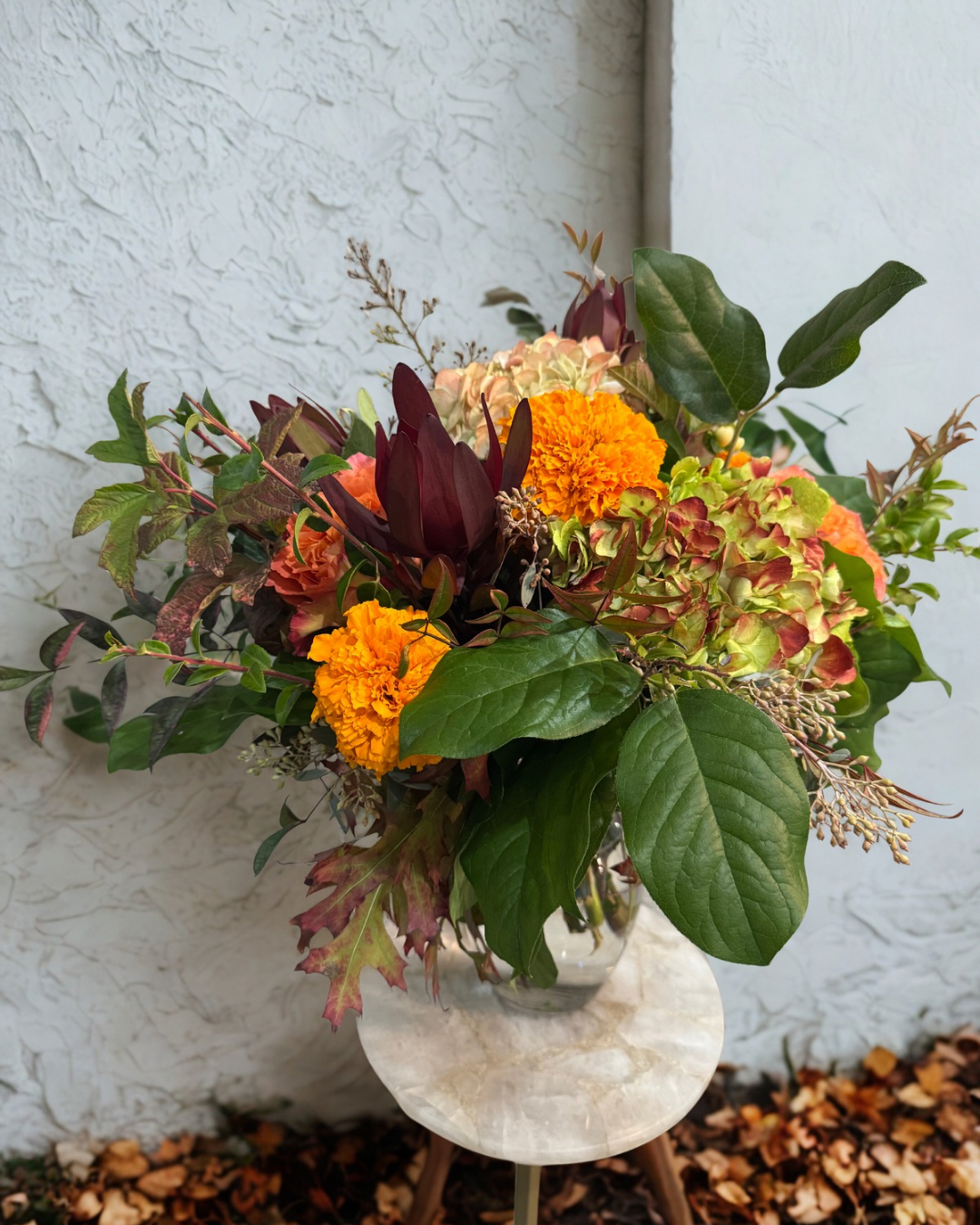 Untitled design 6.PNG