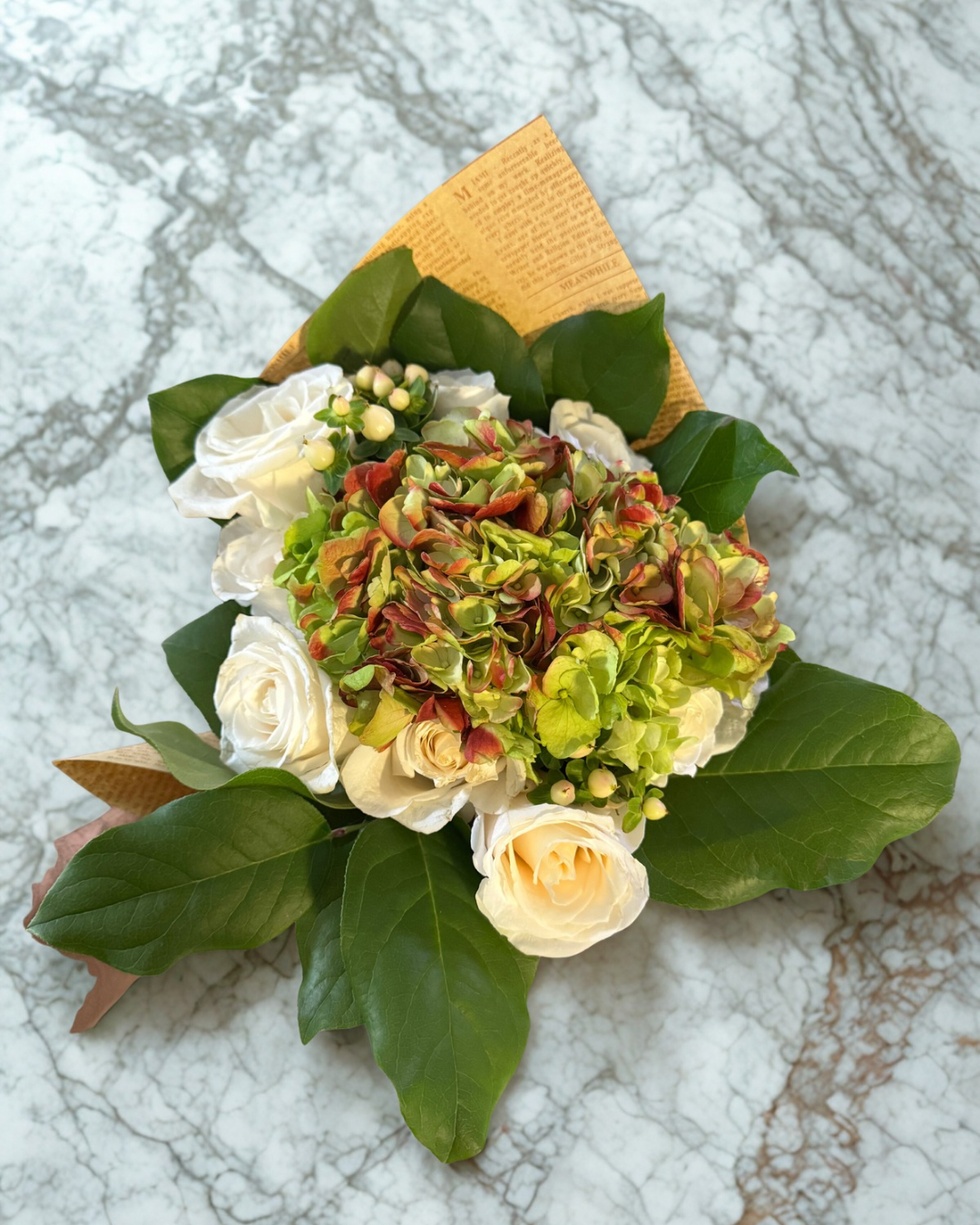 Untitled design 9.PNG