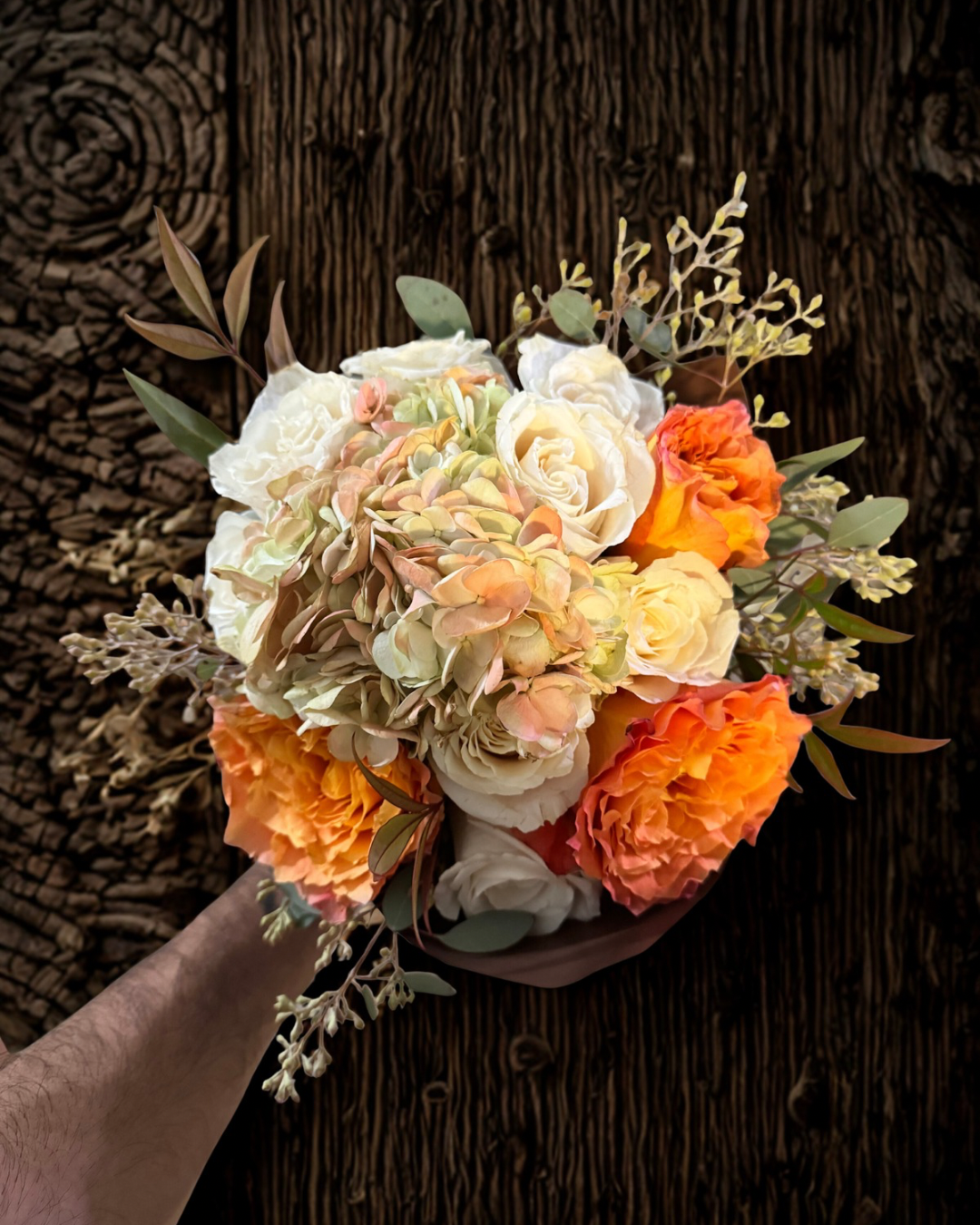 Untitled design 7.PNG