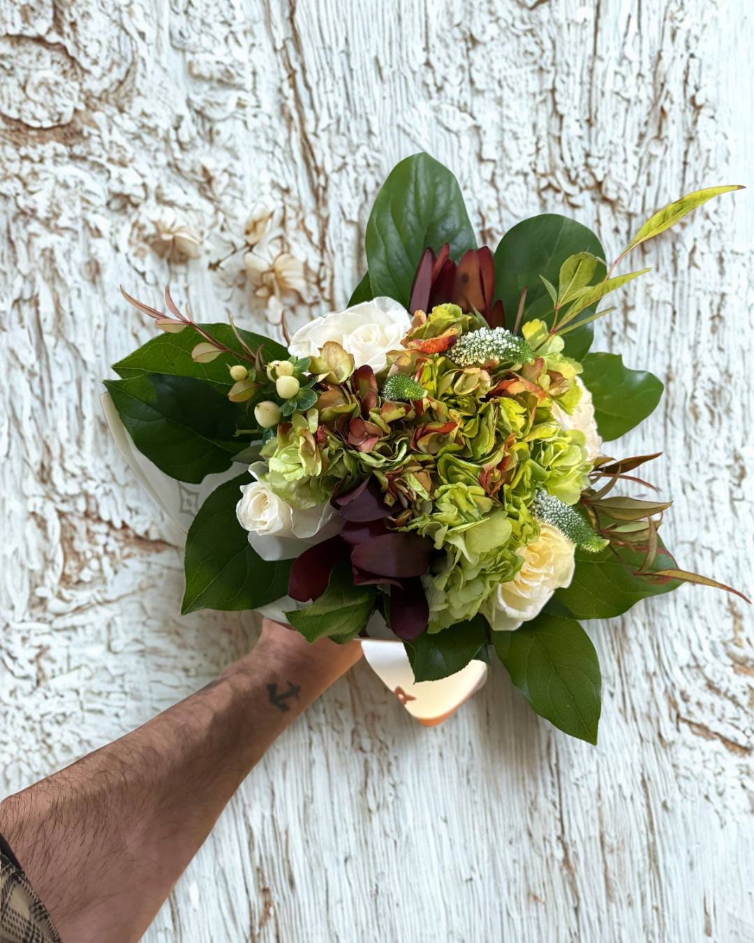 Untitled design 8.PNG