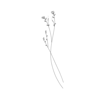 Silhouette of a blooming flower with a long stem.