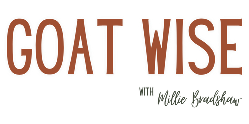 Goat Wise podcast logo by Millie Bradshaw