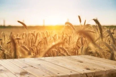 Golden wheat field at sunset with a wooden surface in the foreground.