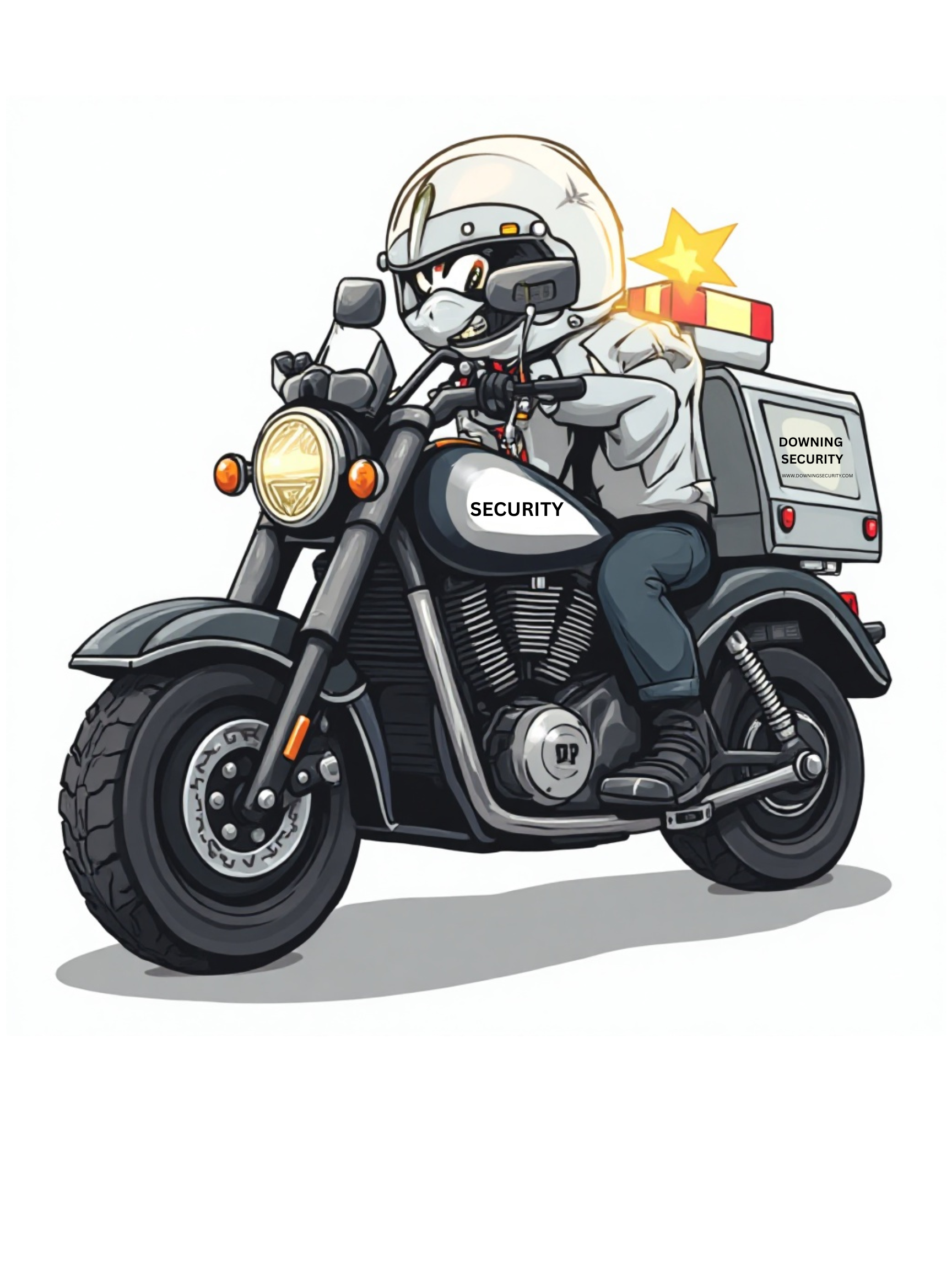 5 WEEK SERVICE PLAN - SECURITY GUARD SERVICES - UNARMED