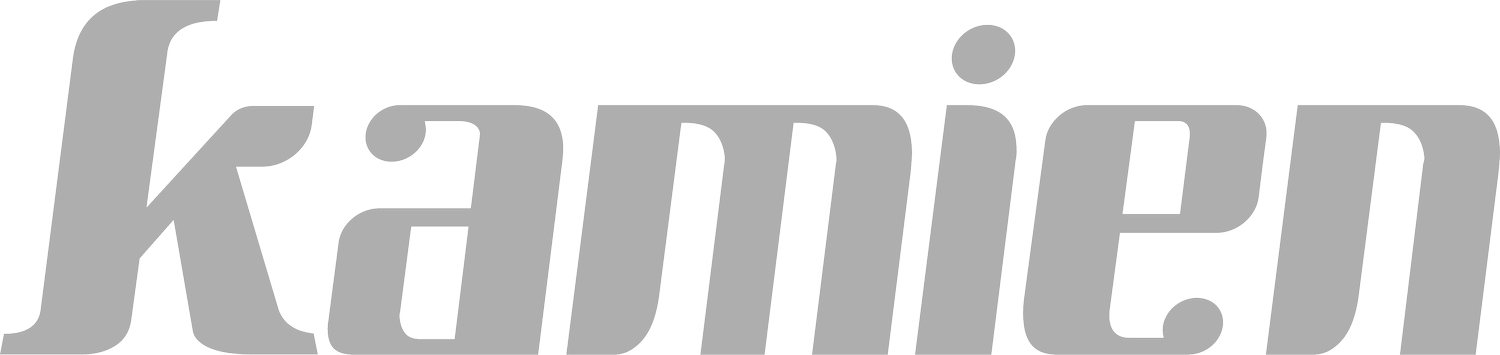 Kamien