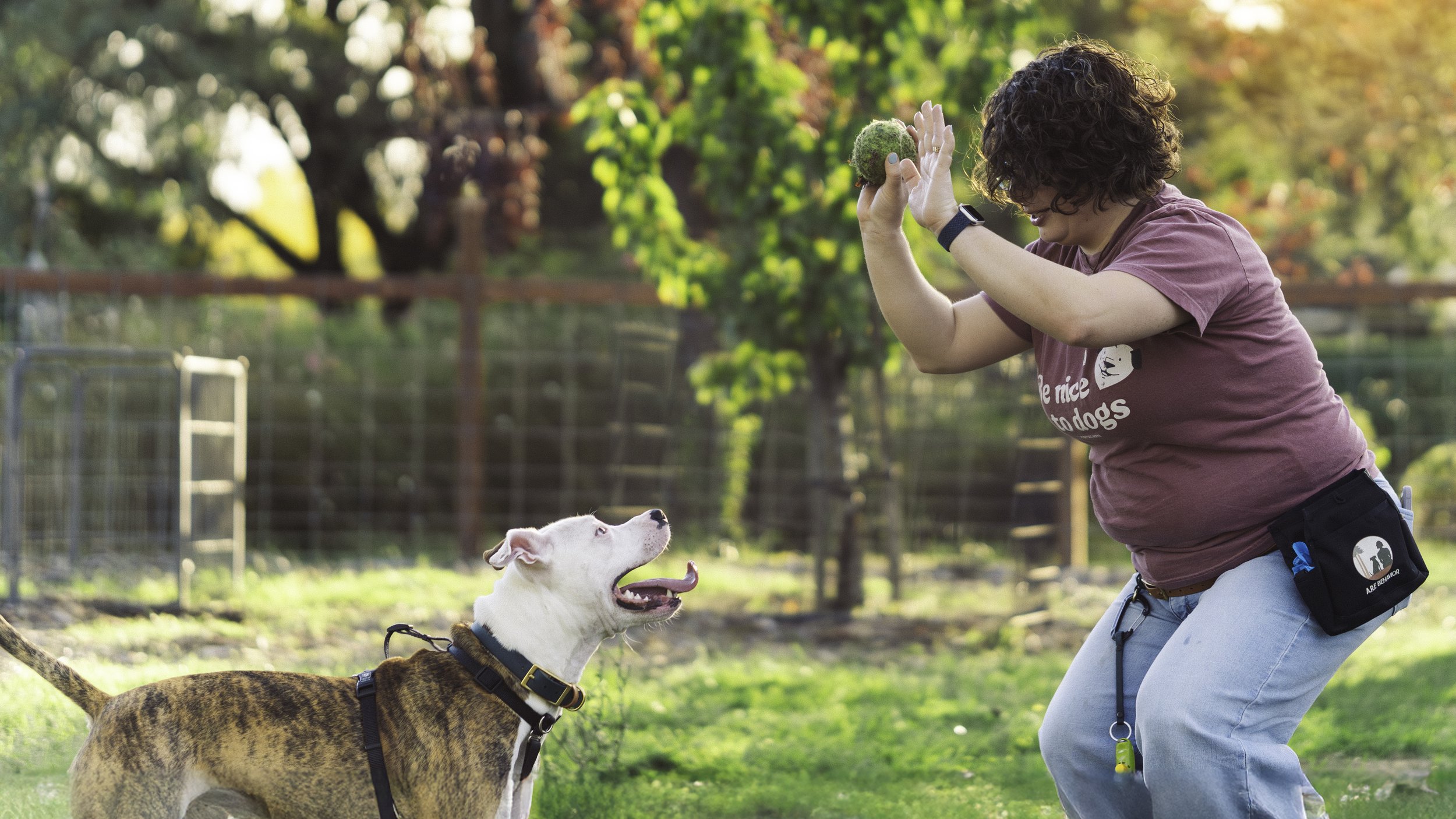 A woman with curly hair and glasses playing fetch with a brindle-colored dog outdoors in a grassy park area, with trees and fencing in the background, during late afternoon.