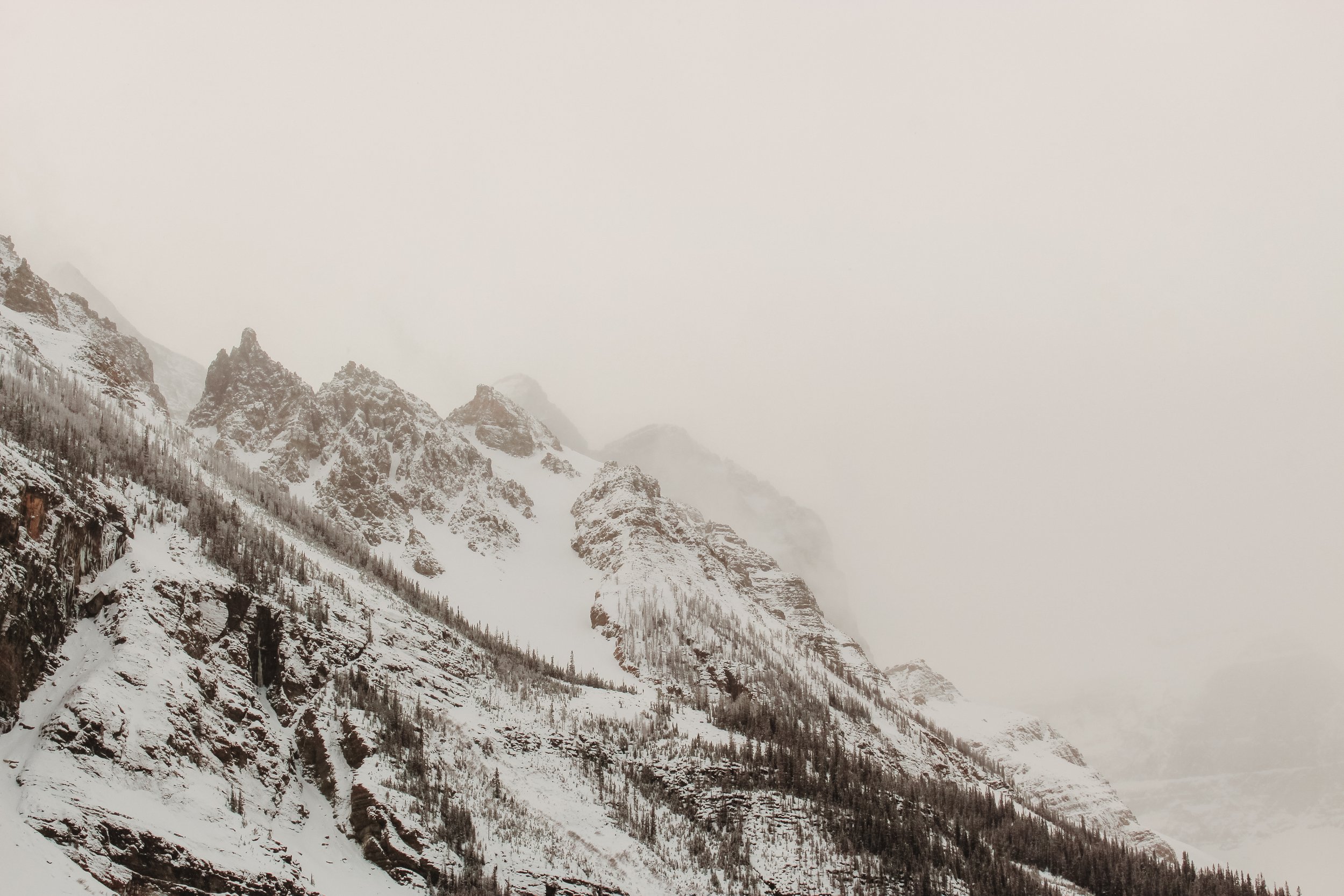 Photograph of Snow-covered mountain range with jagged peaks and a pine forest on the slope, surrounded by fog or low clouds.