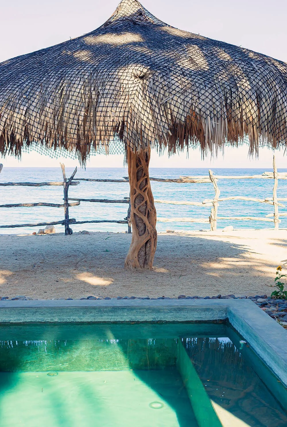 2026 Yoga Retreat in Cabo Pulmo, Mexico