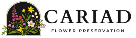 Cariad Flower Preservation