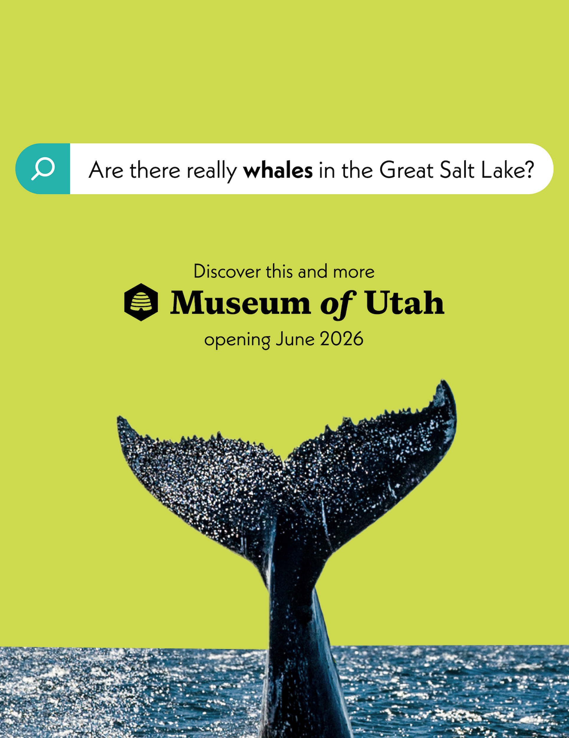 Social_whale.png