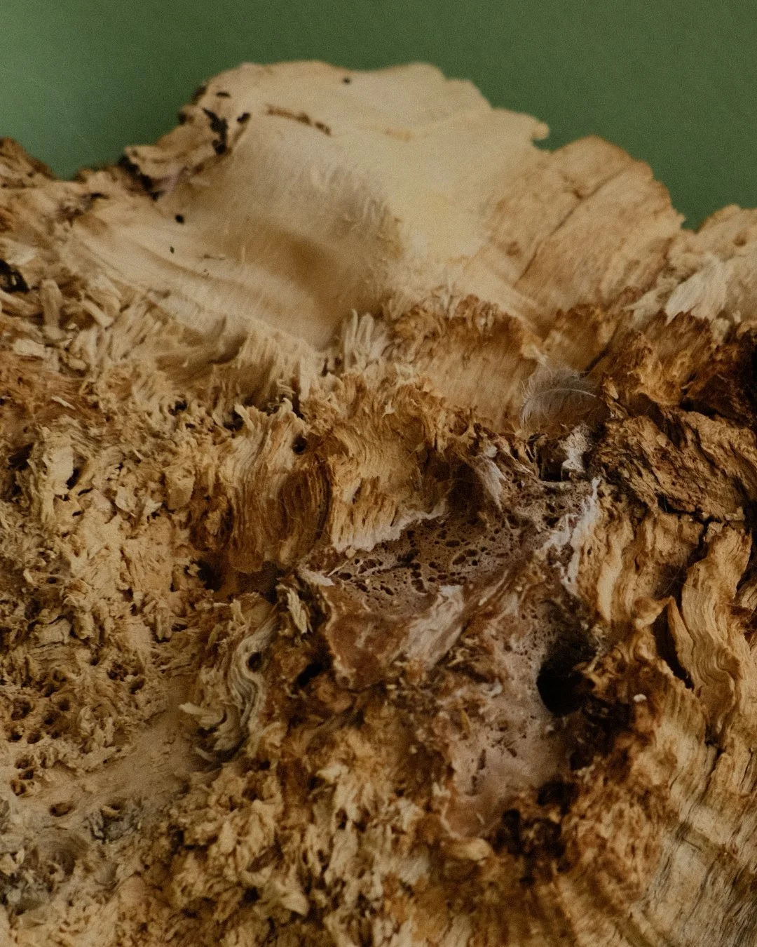 07_BurledWood_Photos.jpg