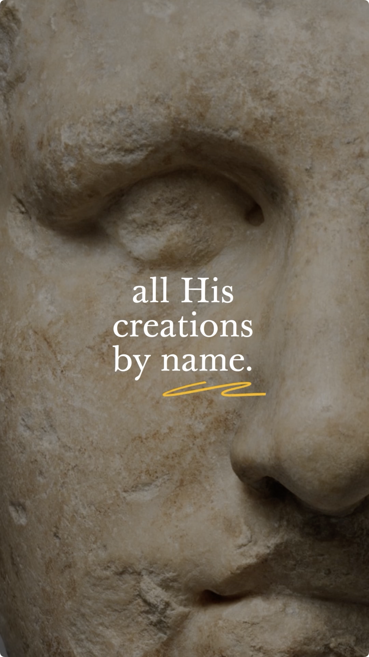 Creator_05.png