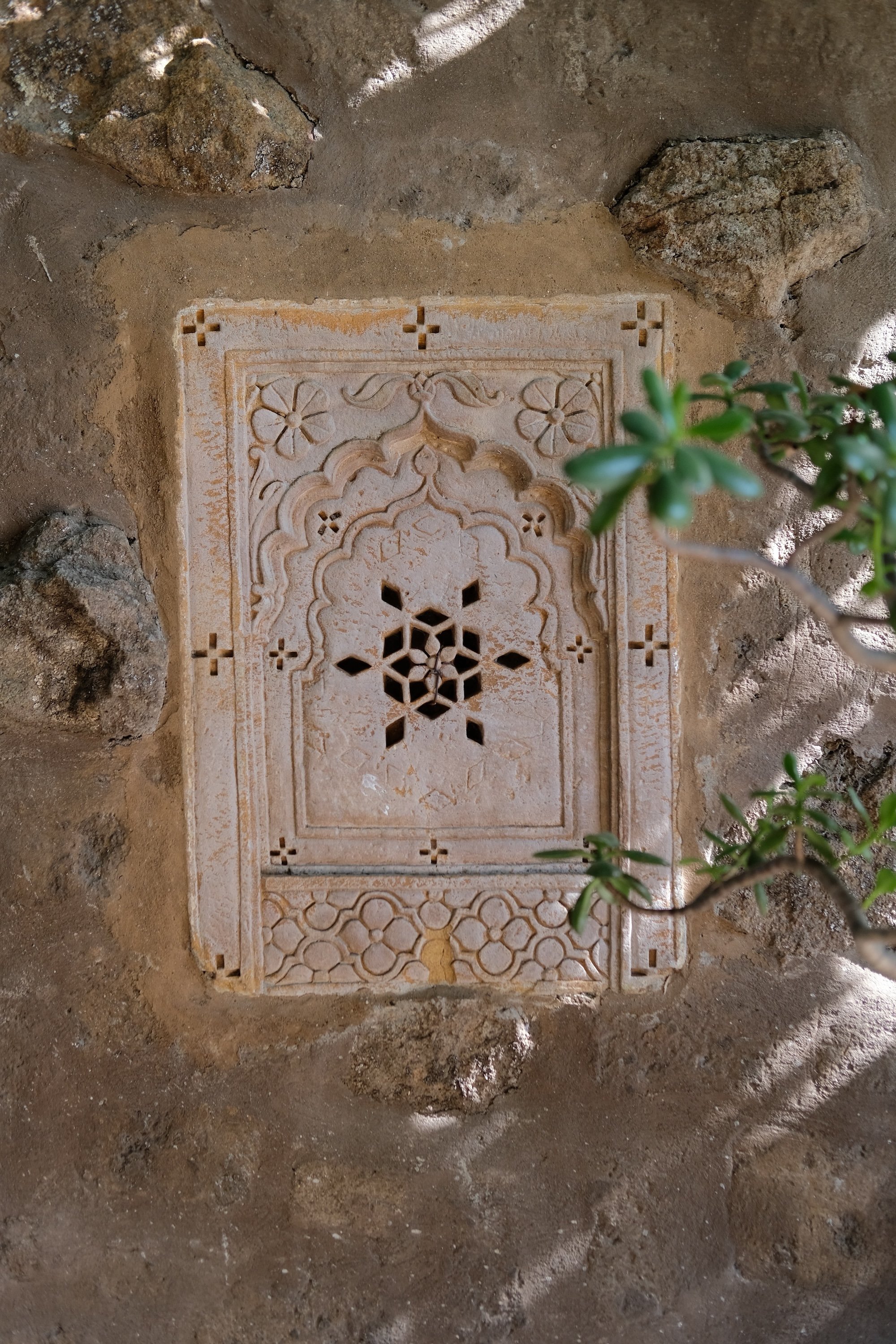 DSCF4255.JPG