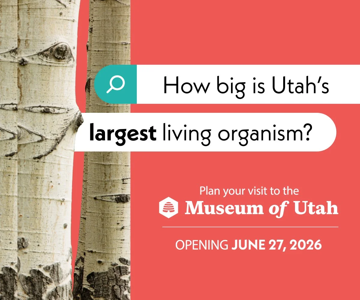 MuseumOfUtah-300x250-08@2x.jpg