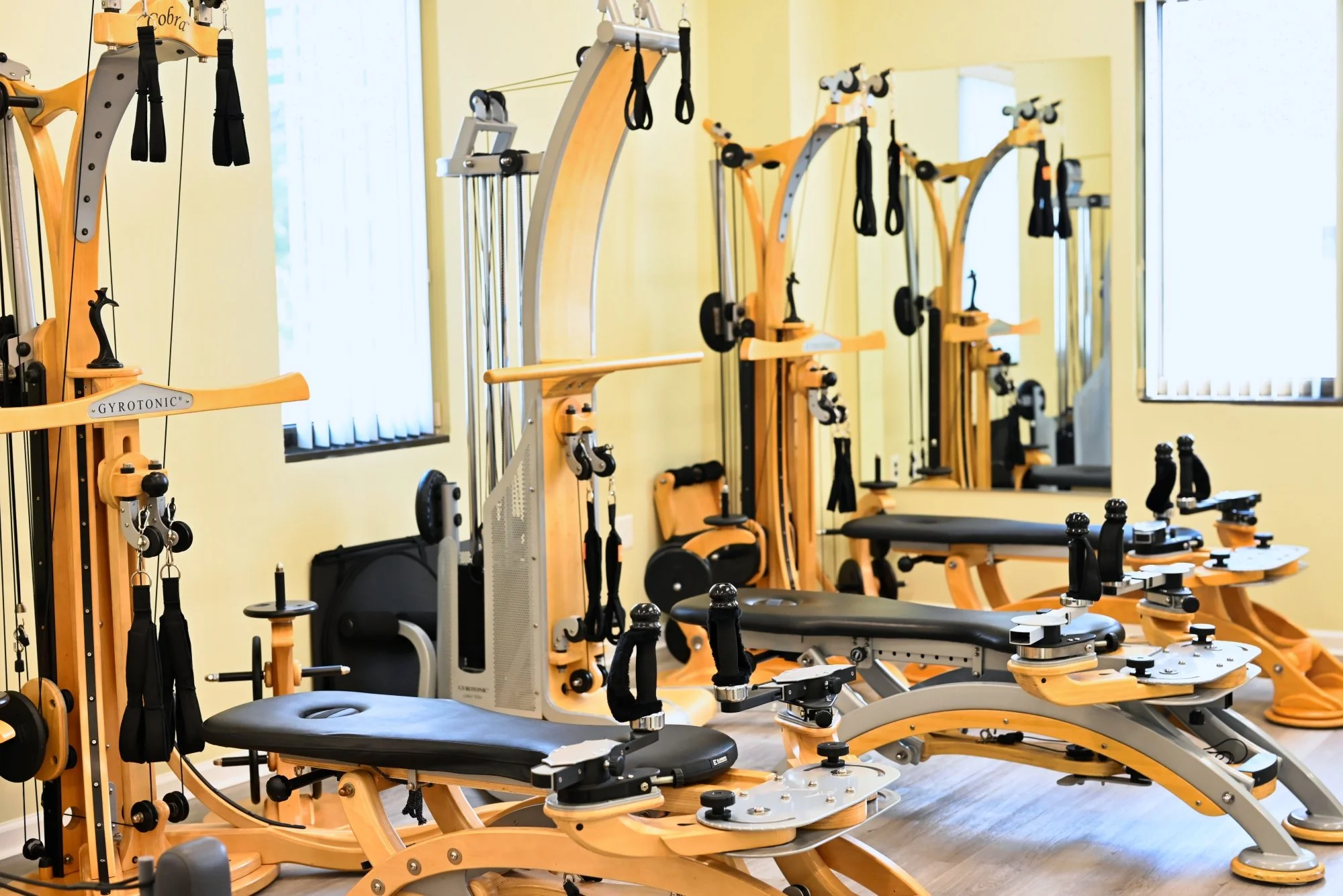 A Paean to the GYROTONIC Method