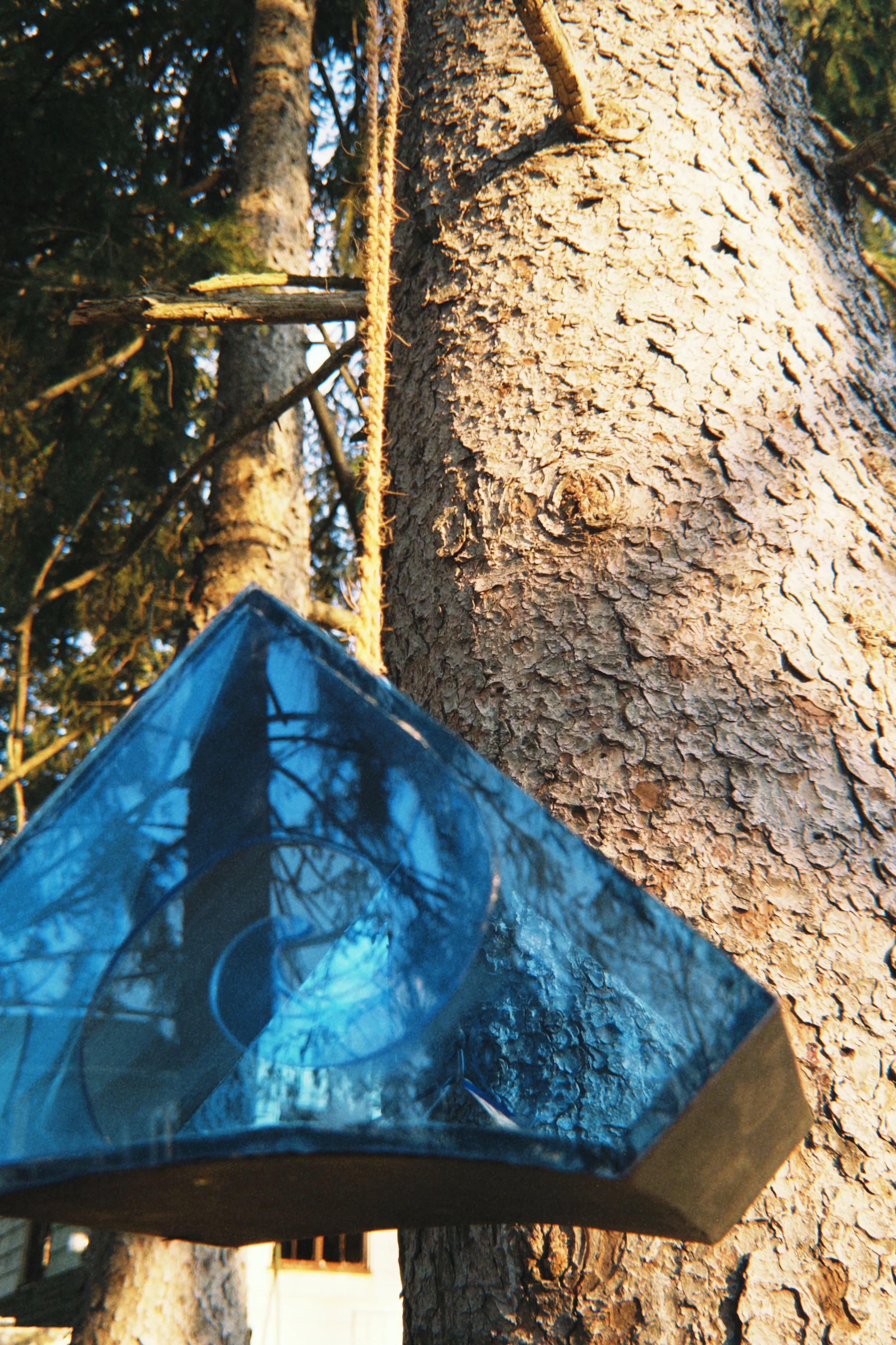 fqs 2025-03-13 184836.412.jpeg