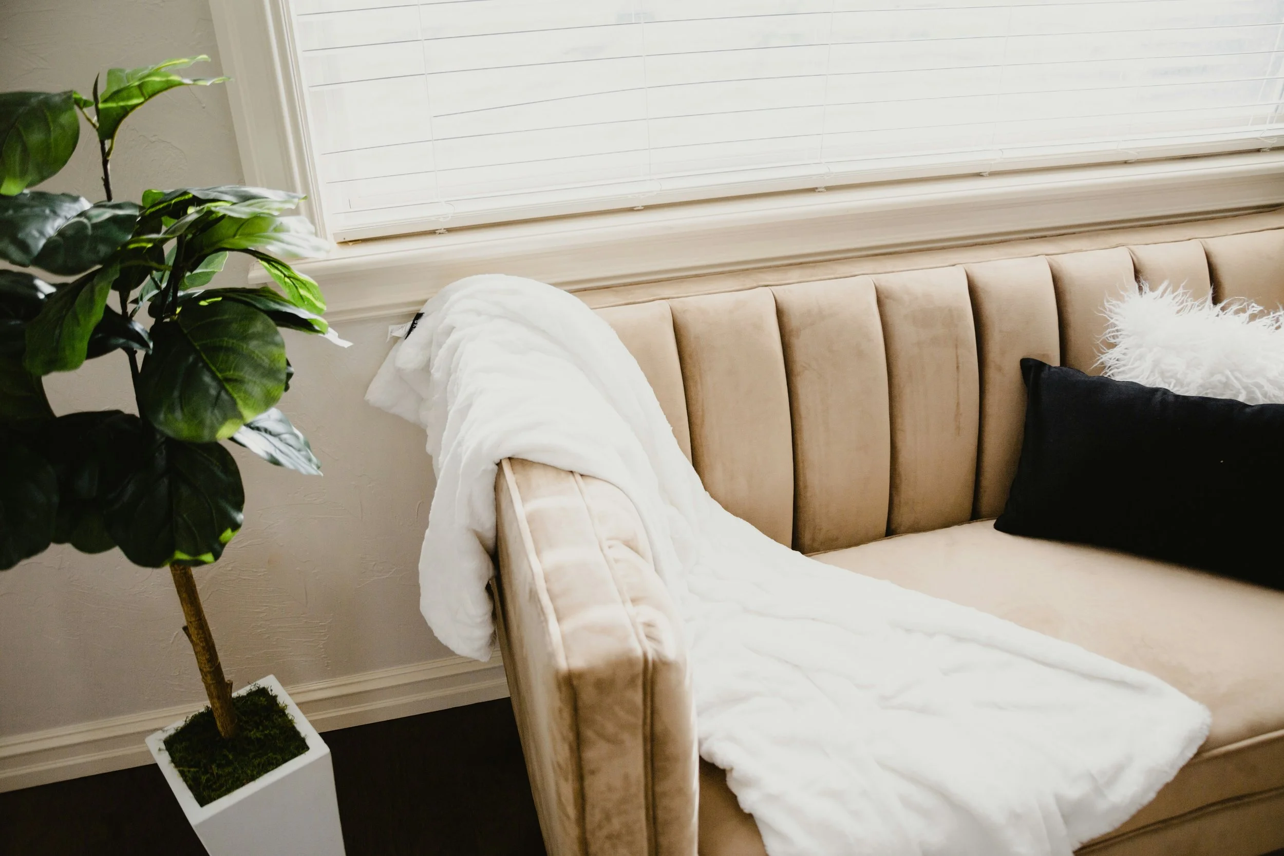 EMDR therapist in Cypress TX,  EMDR Therapist in Houston TX, Texas, Therapist for teens in Cypress Texas, Therapist for children in Cypress Texas, Teen Counseling in Cypress Texas, Affordable therapy near me, CBT therapy near me
