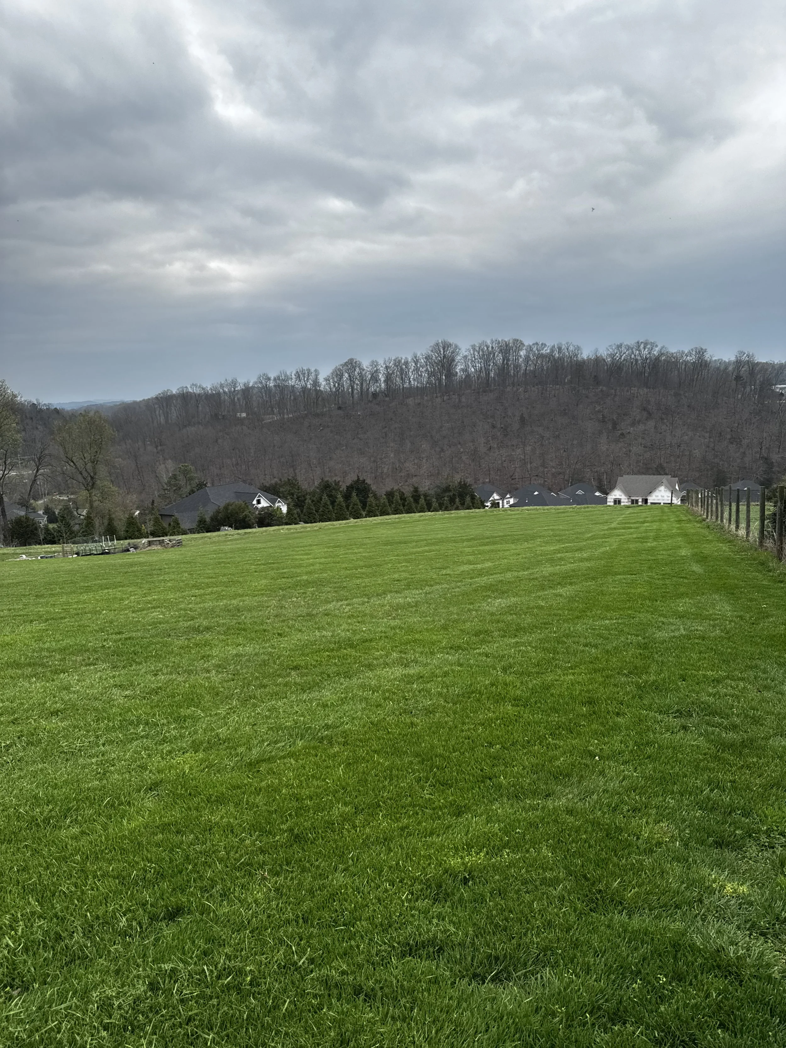 79633063882__93F0E735-4C2D-4B00-9886-4FCDCB5E4380 (2).JPEG