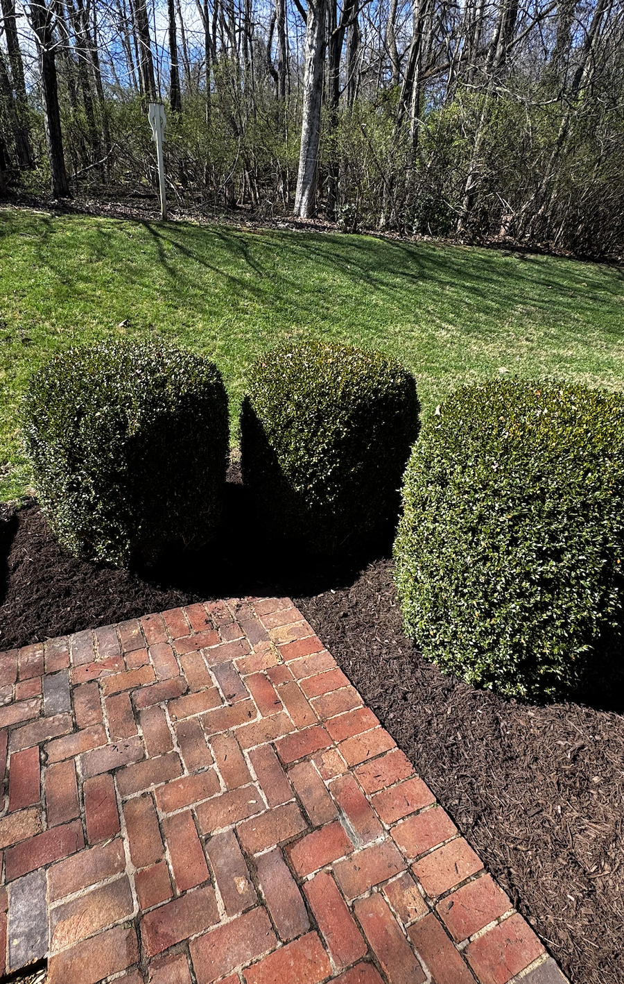 Screenshot 2026-03-25 at 8.45.19 AM.png