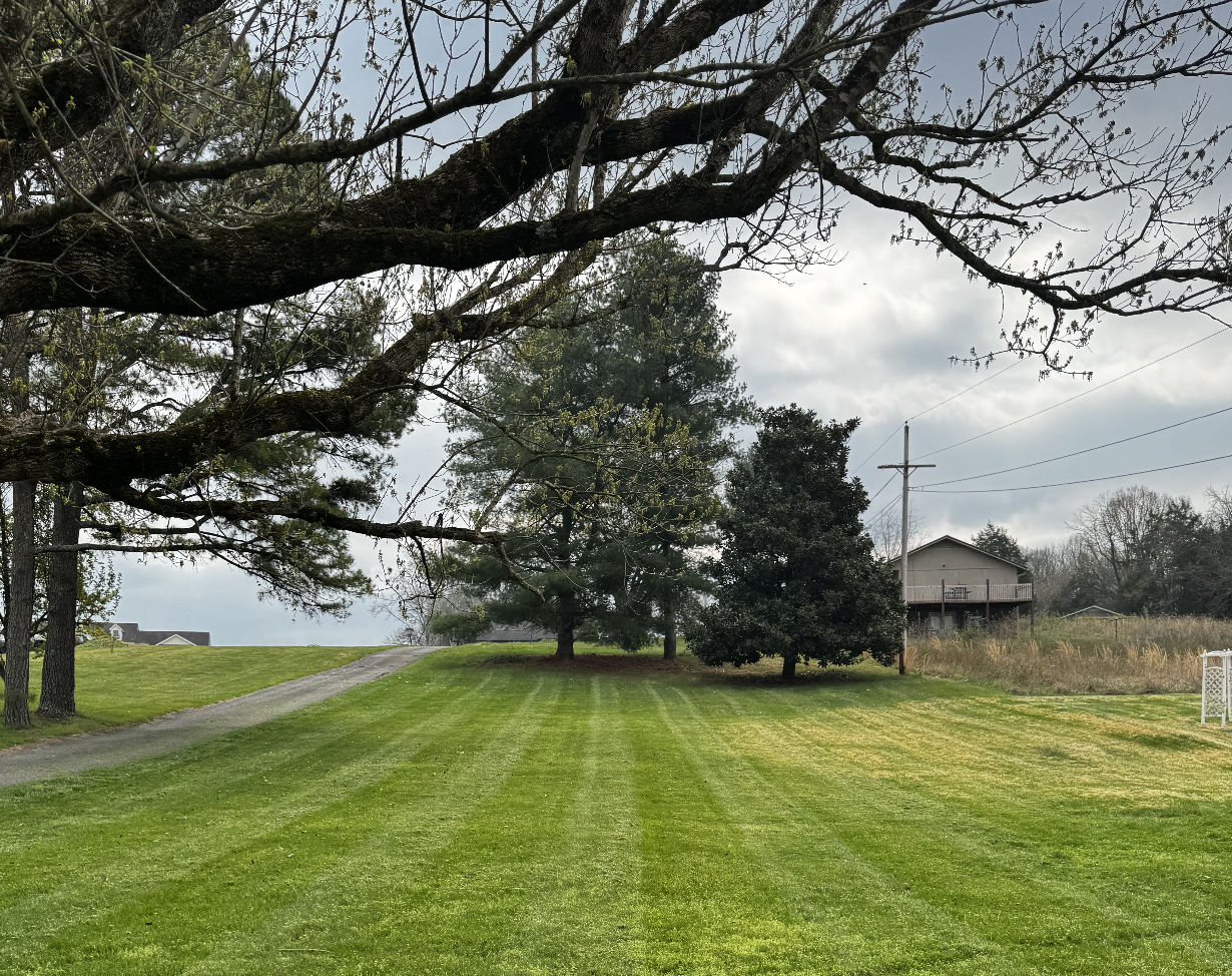 Screenshot 2026-03-27 at 11.25.23 AM.png