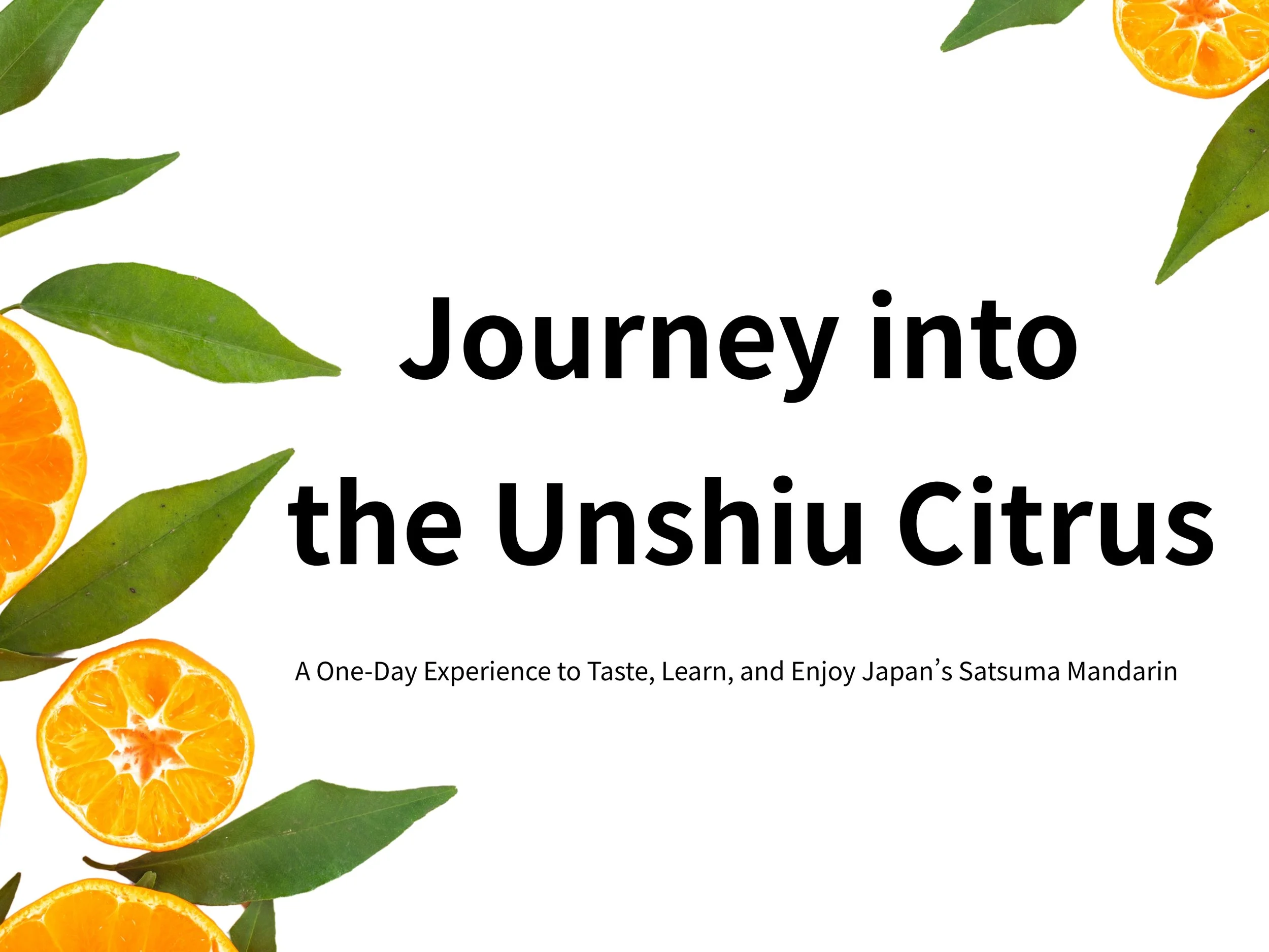 Journey into the UnShiu Citrus