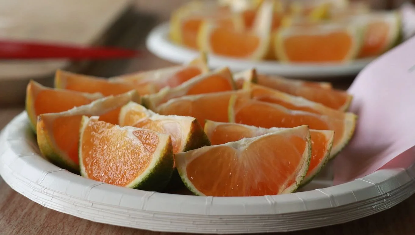 9月27日（日）、和歌山県内在住の外国人の皆さんをお招きして、温州みかんイベント「Journey into the Unshiu Citrus」を開催しました♪

せっかく和歌山に住んでいるなら、温州みかんのことをもっと知ってもらいたい&mdash;&mdash;。

そんな思いで企画した今回のイベントには、出身国も在日年数もさまざまな方々が参加してくださいました✨

極早生の青ぎりみかんを食べて「意外と甘い！」と驚く声もあり、和歌山の味を新鮮に感じていただけたようです！

日ごろ地域に貢献して