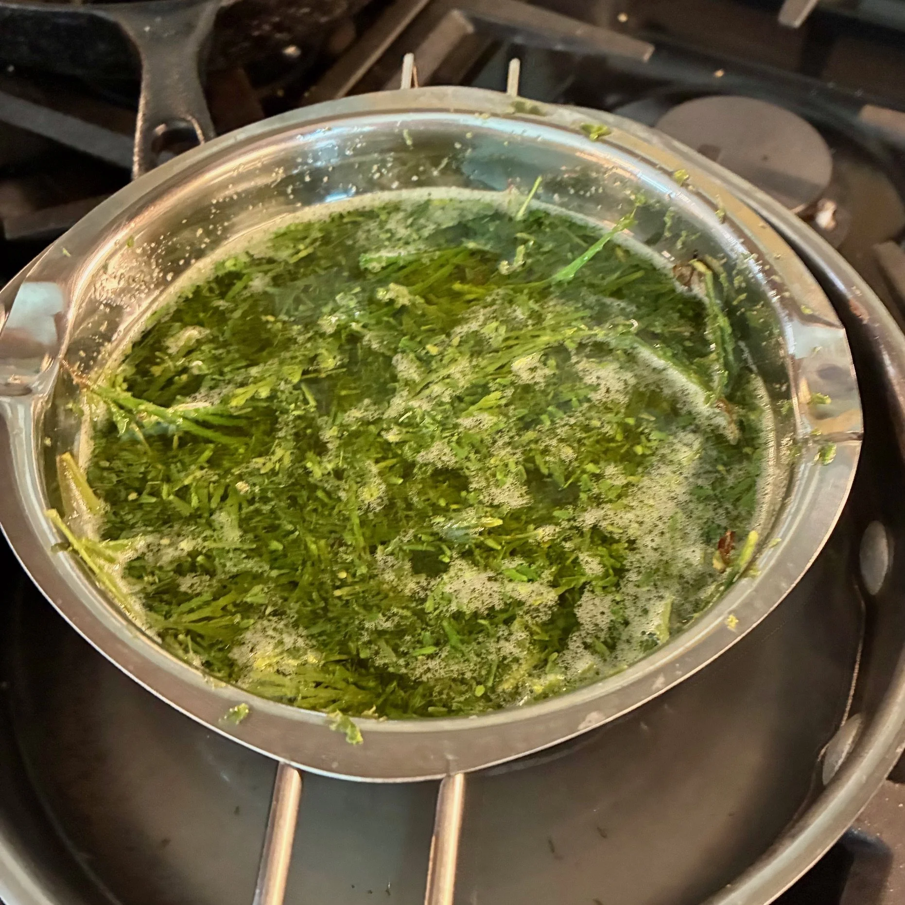 Natural Paint Making - January 29th