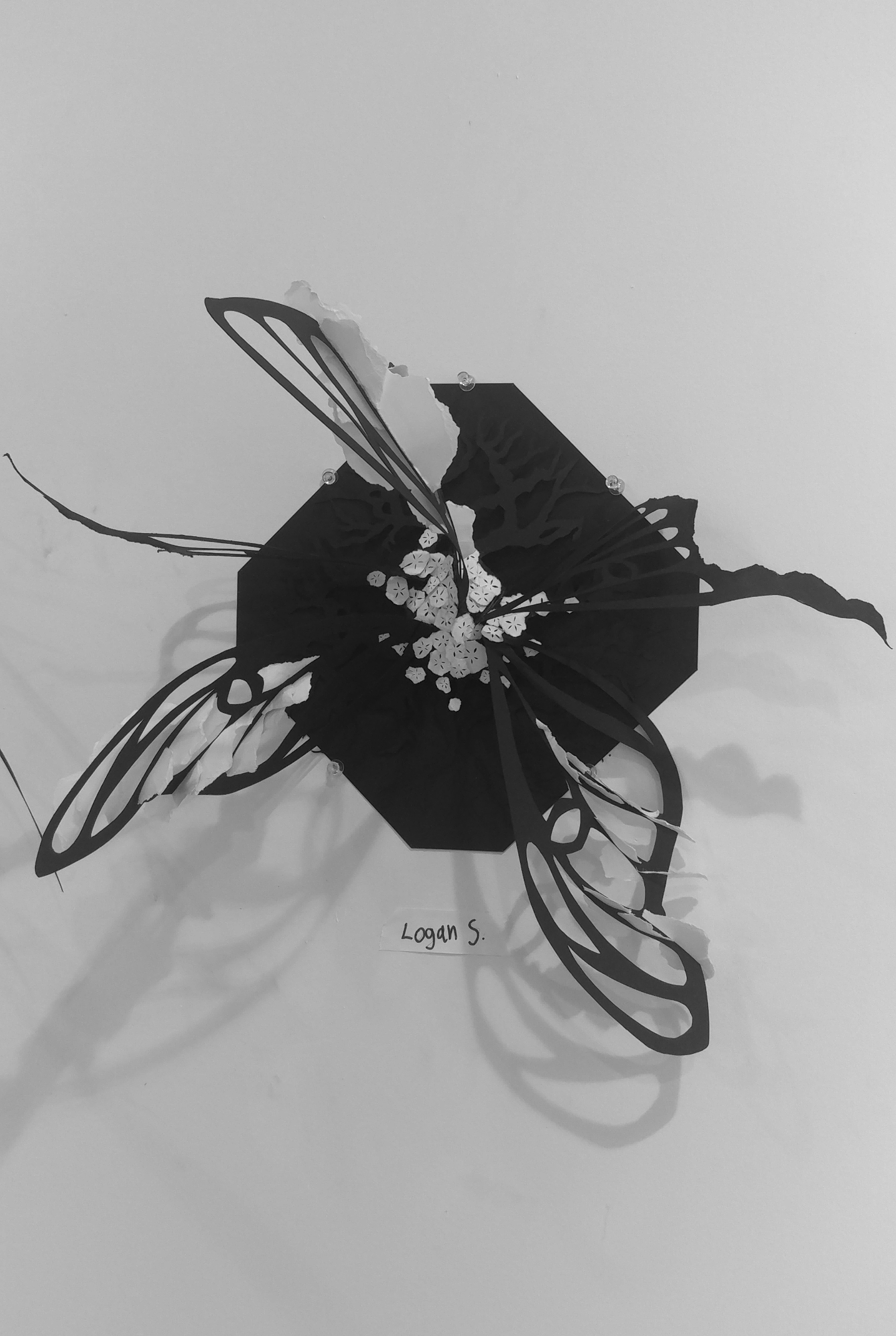 Beautiful Decay || Cut Paper || 2022