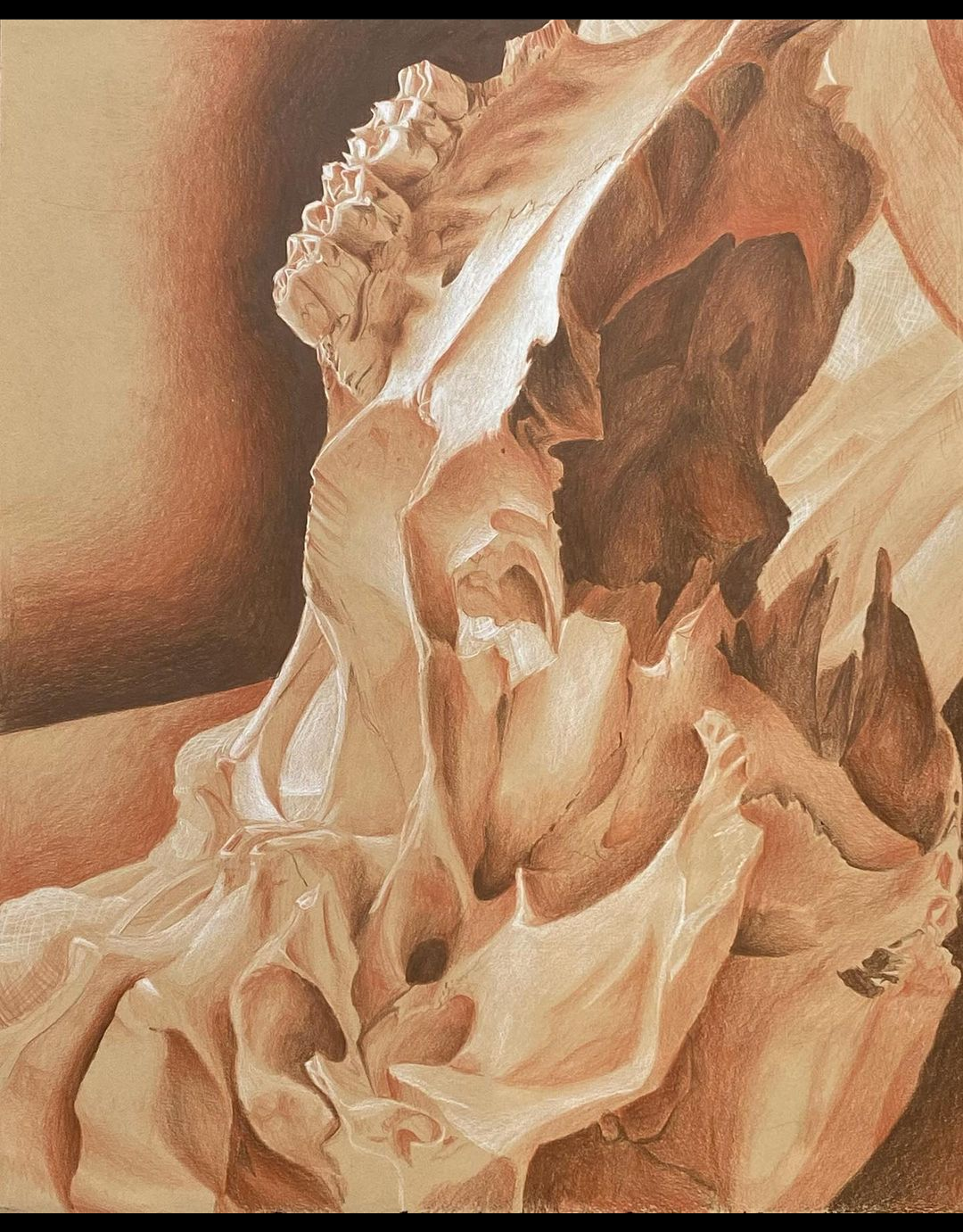 Skull Still Life || Colored Pencil || 2022