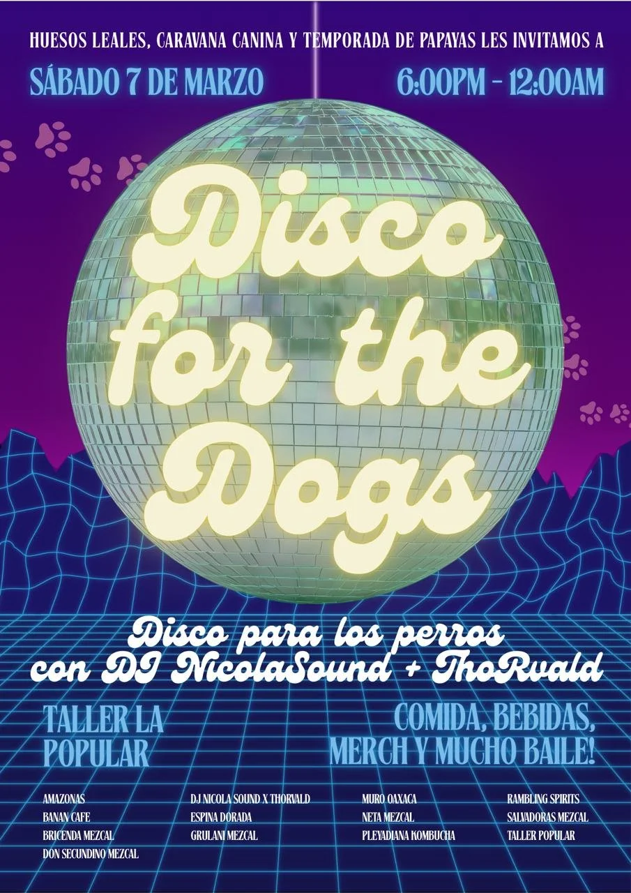 Disco for the Dogs