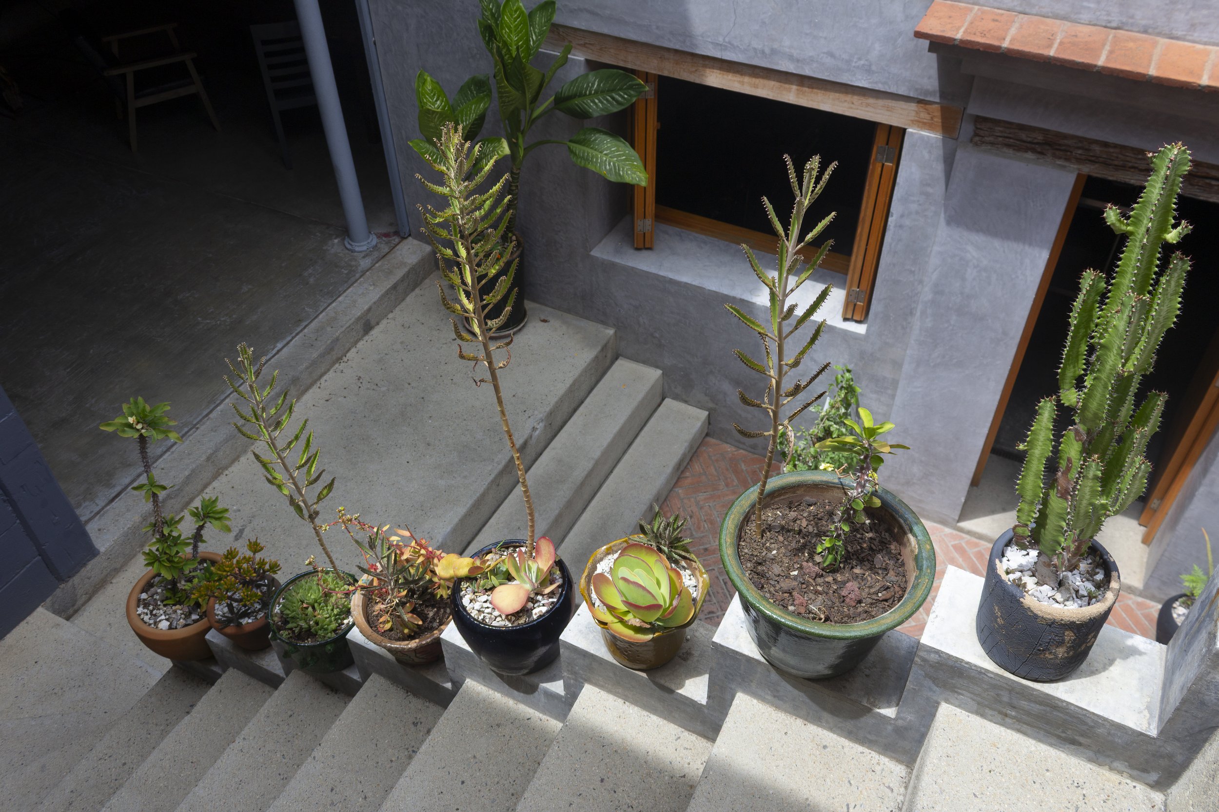 Vistas del espacio, Taller Popular3