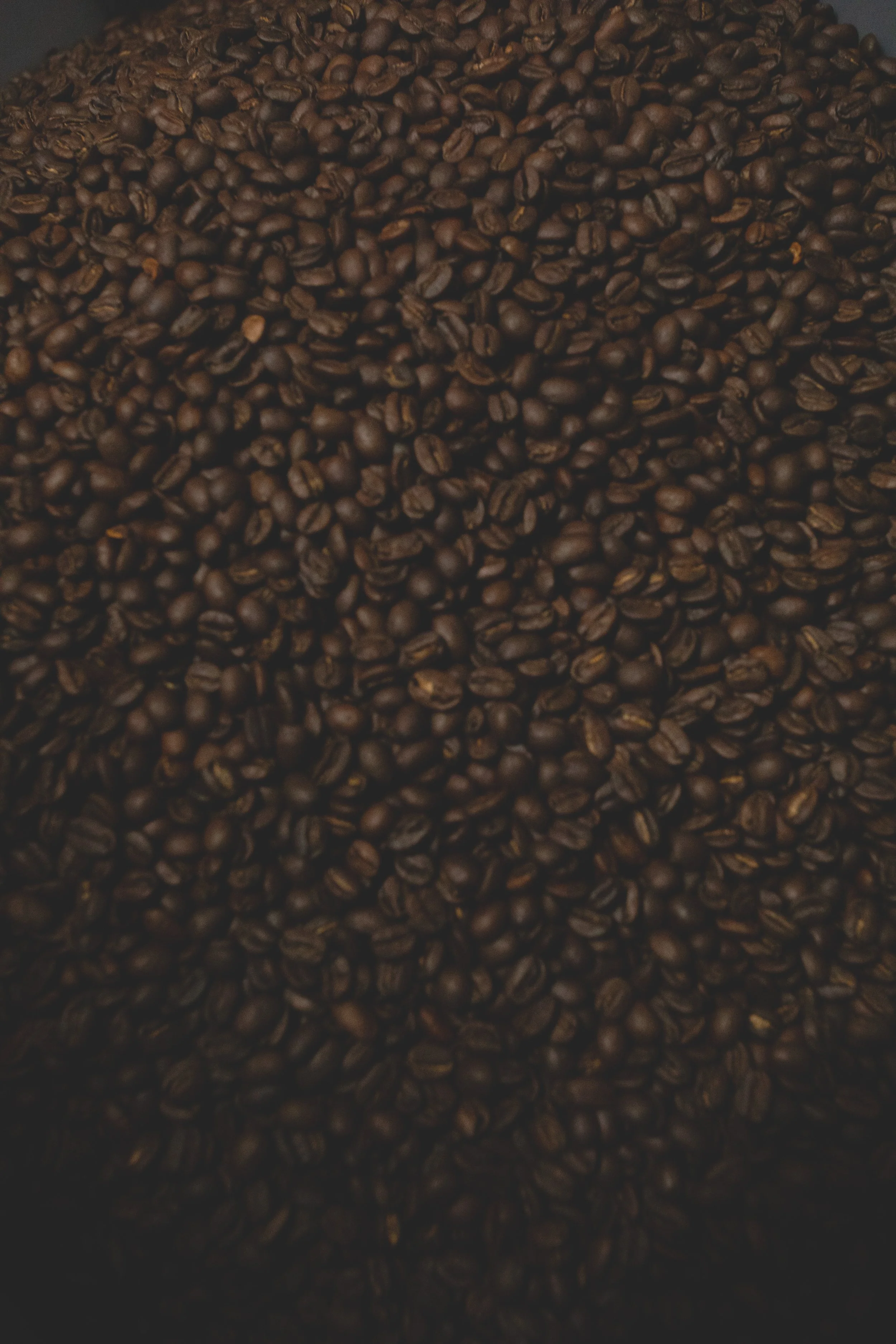 Close-up of roasted coffee beans covering a dark surface