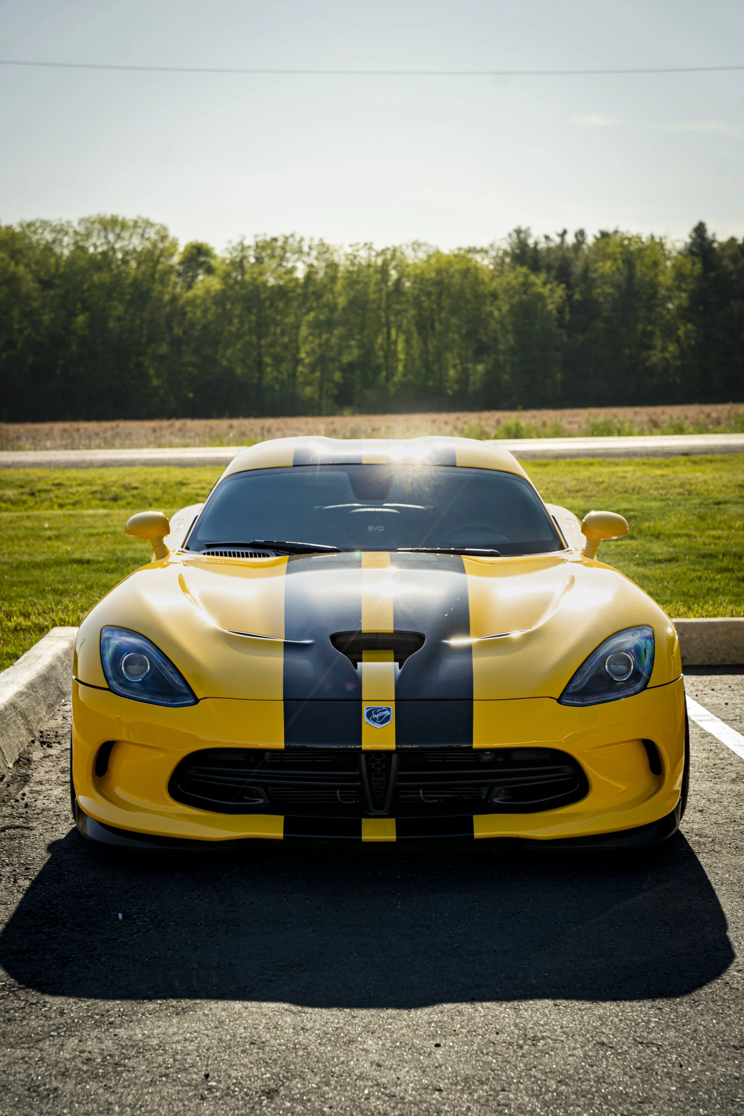 Viper-2-2.jpg