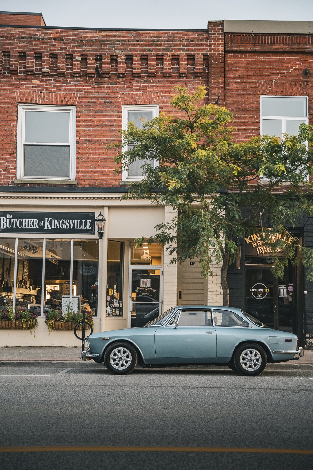 Alfa in Kingsville-6.jpg