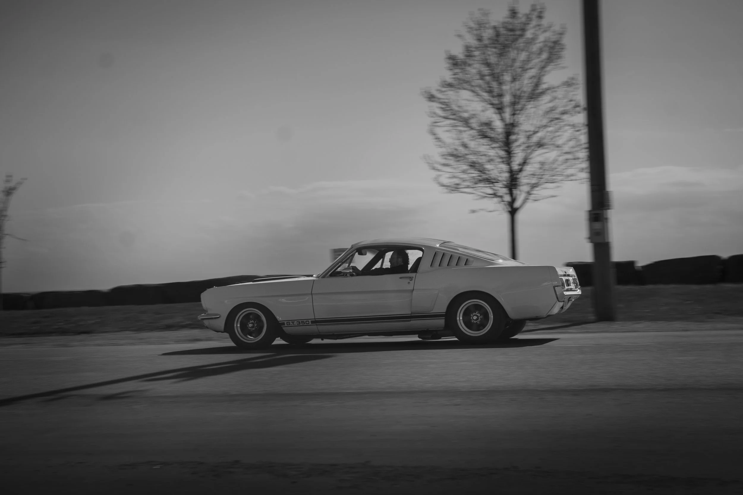 GH GT350 Leamington-16.jpg