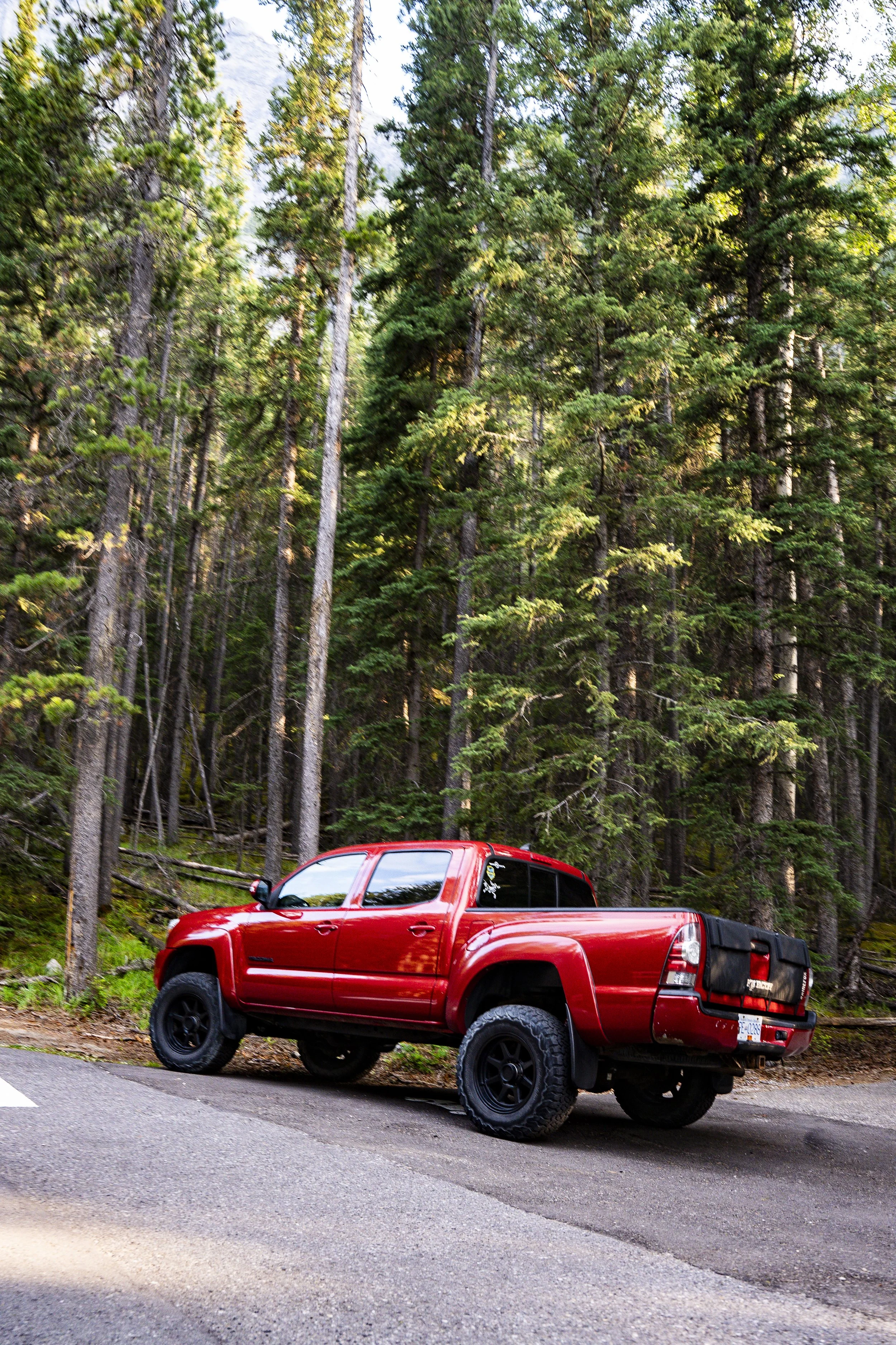 Beauty in the Rockies-1.jpg