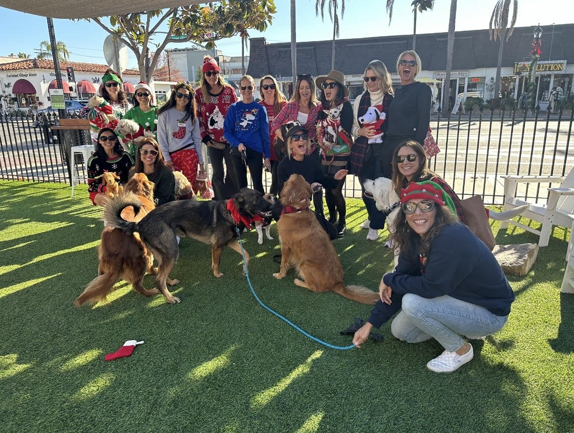 christmas pickle village.jpg