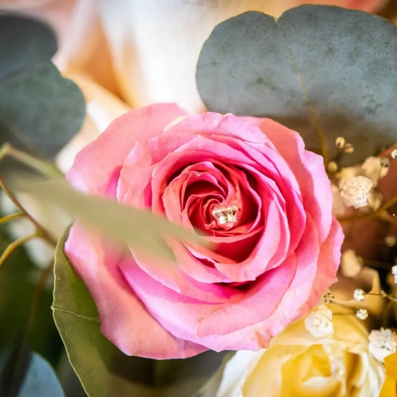 Carlsbad Valentine’s Guide: Gifts &amp; Experiences for Everyone You Love