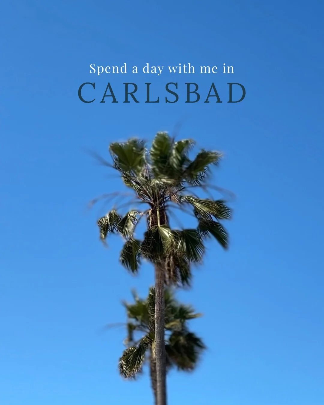 A few Carlsbad spots that stay in my rotation. They make this place feel like home 💛

@dreamwavecoffee 
@daniellamanini_art 
@carlsbadlibraryartsfoundation