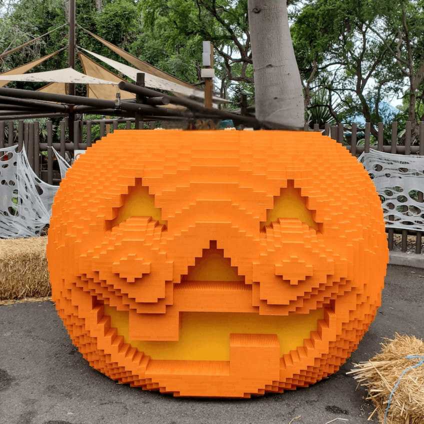 Fall Things to Do in Carlsbad