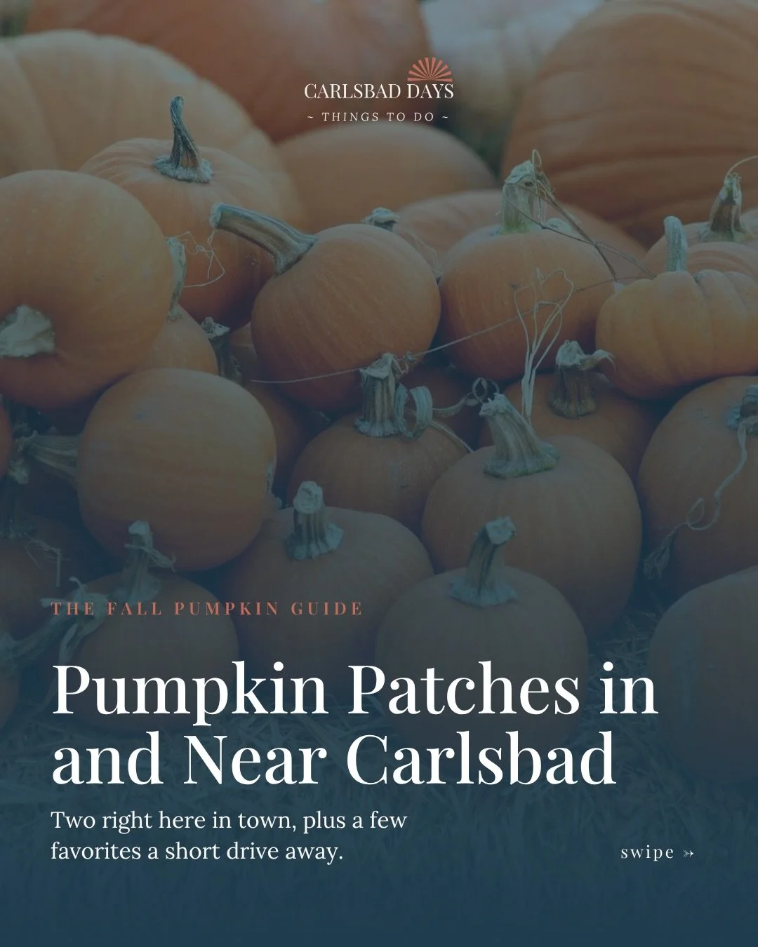 Big farm day or quick pumpkin run? Around here, you can have both. 🎃 Here&rsquo;s a few pumpkin patches in and near Carlsbad, from the two right here in town to a marigold-filled farm in Oceanside and a vineyard patch in Fallbrook.

01 Carlsbad Stra