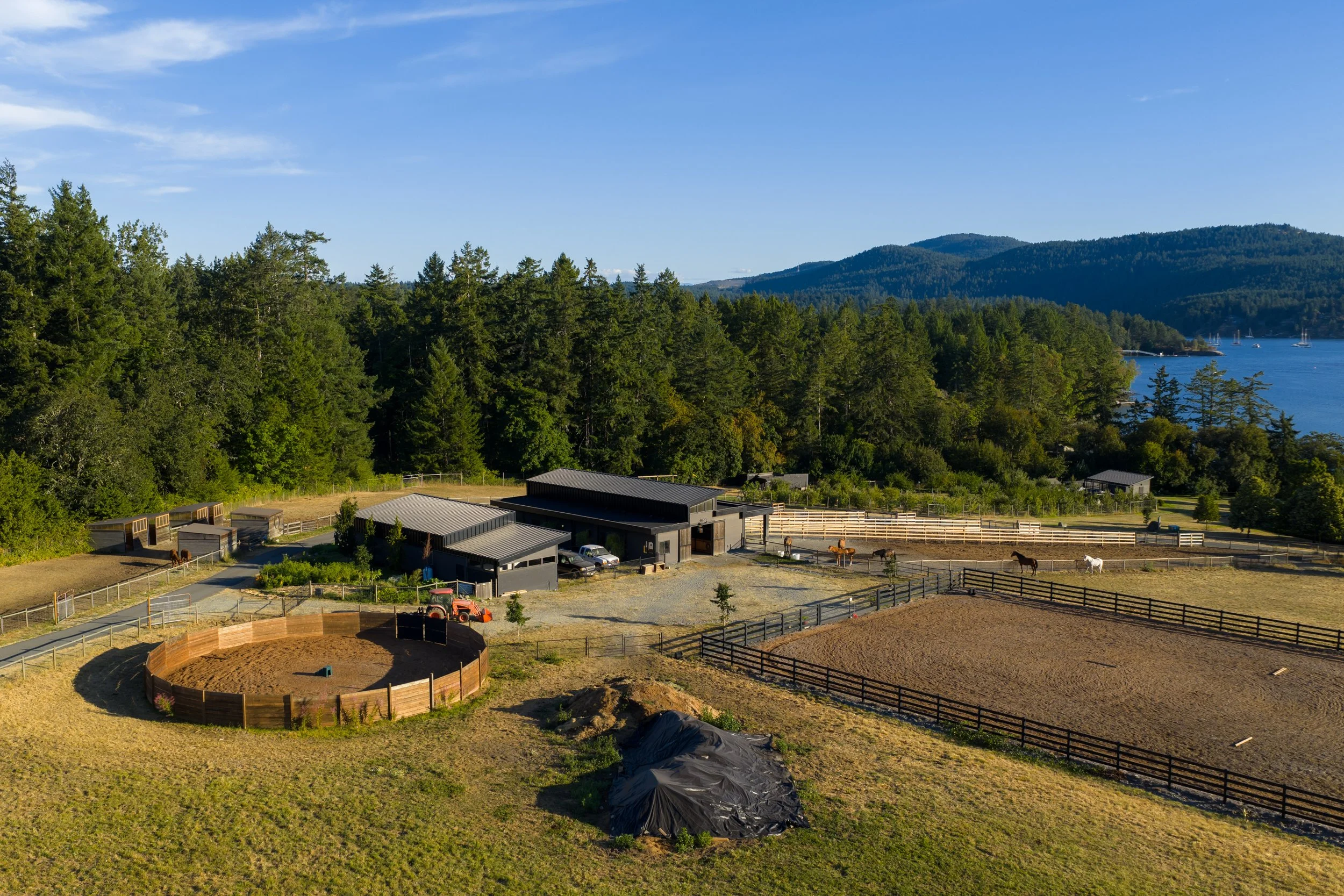Saanich00279.jpg