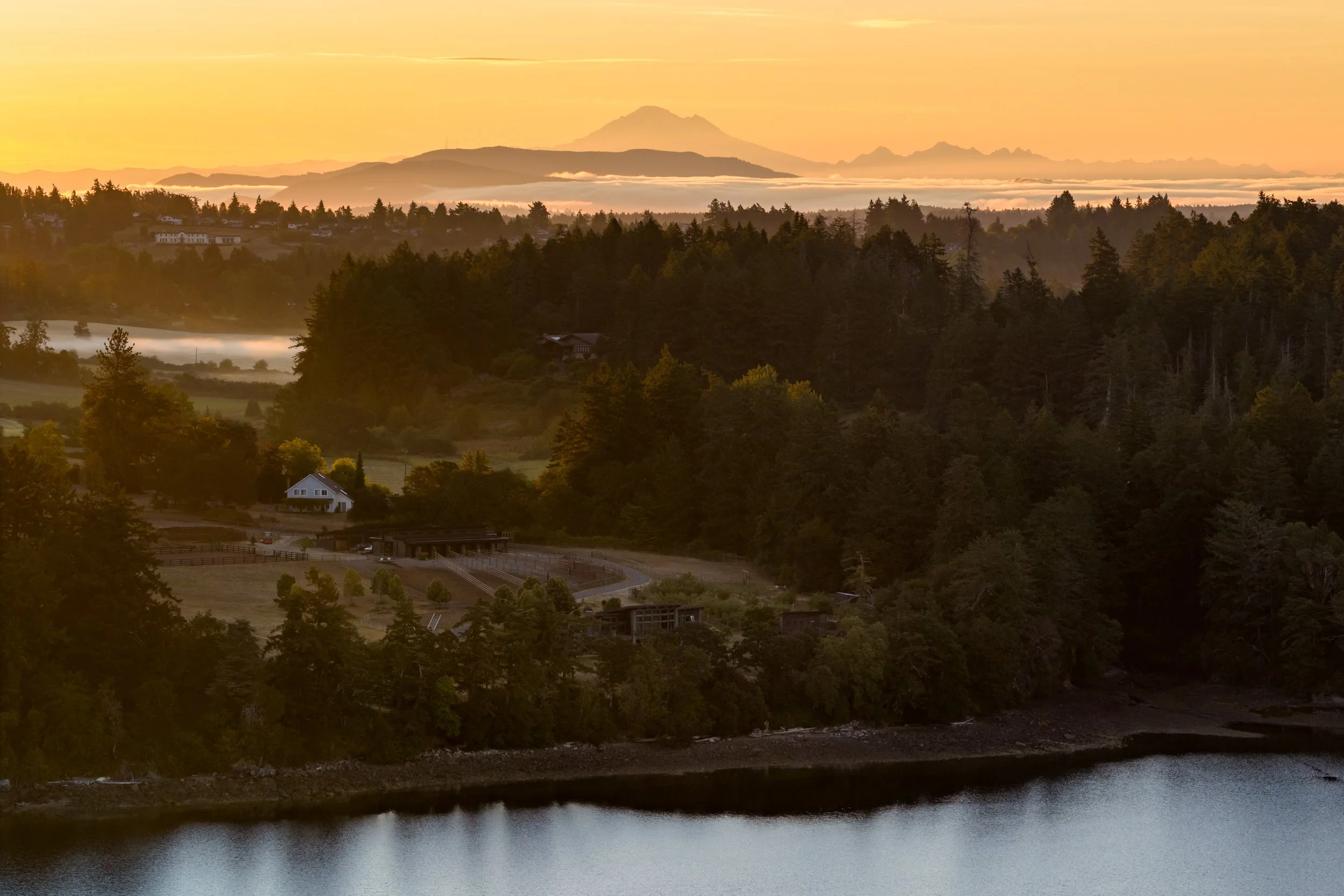 Saanich00266.jpg
