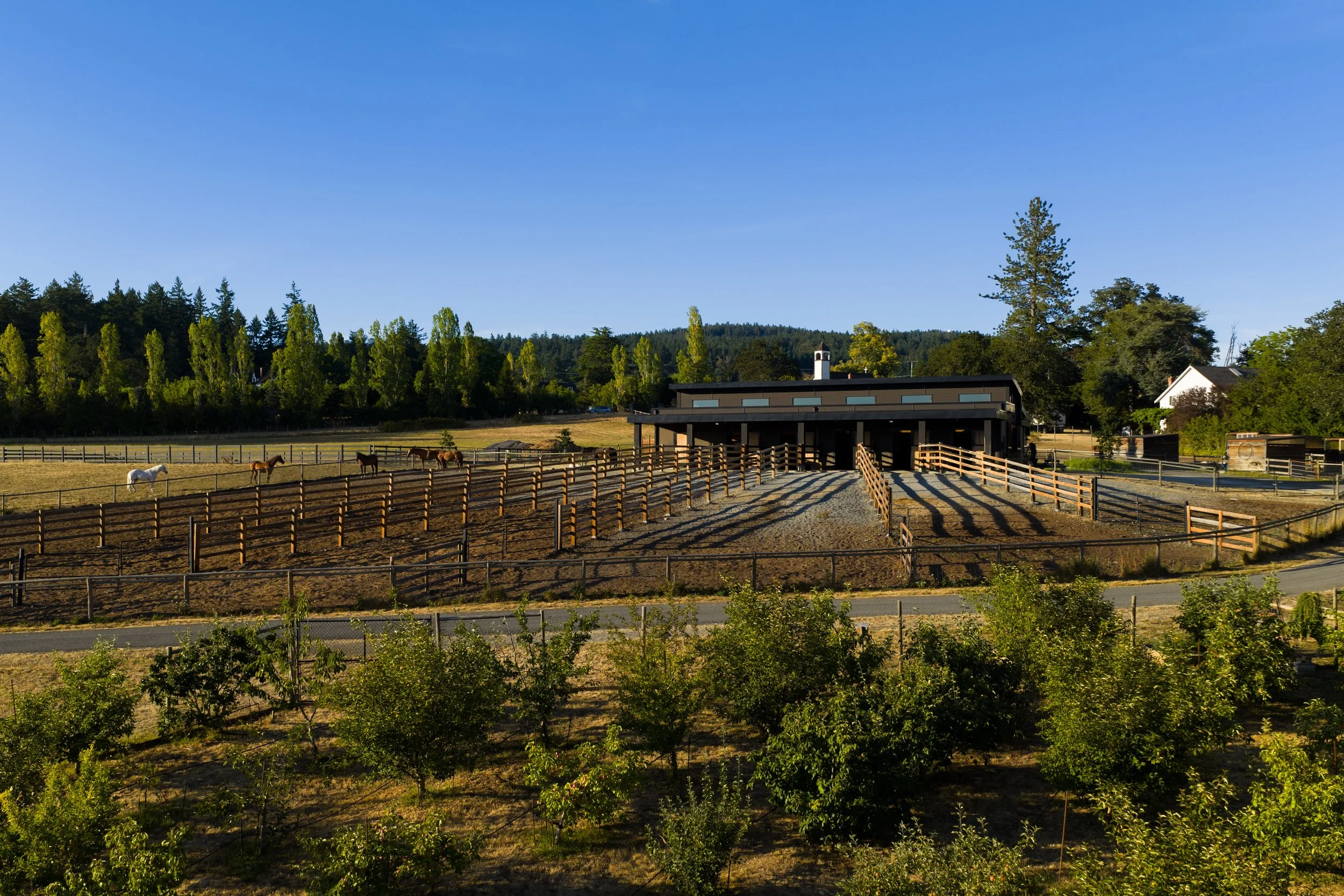 Saanich00282.jpg