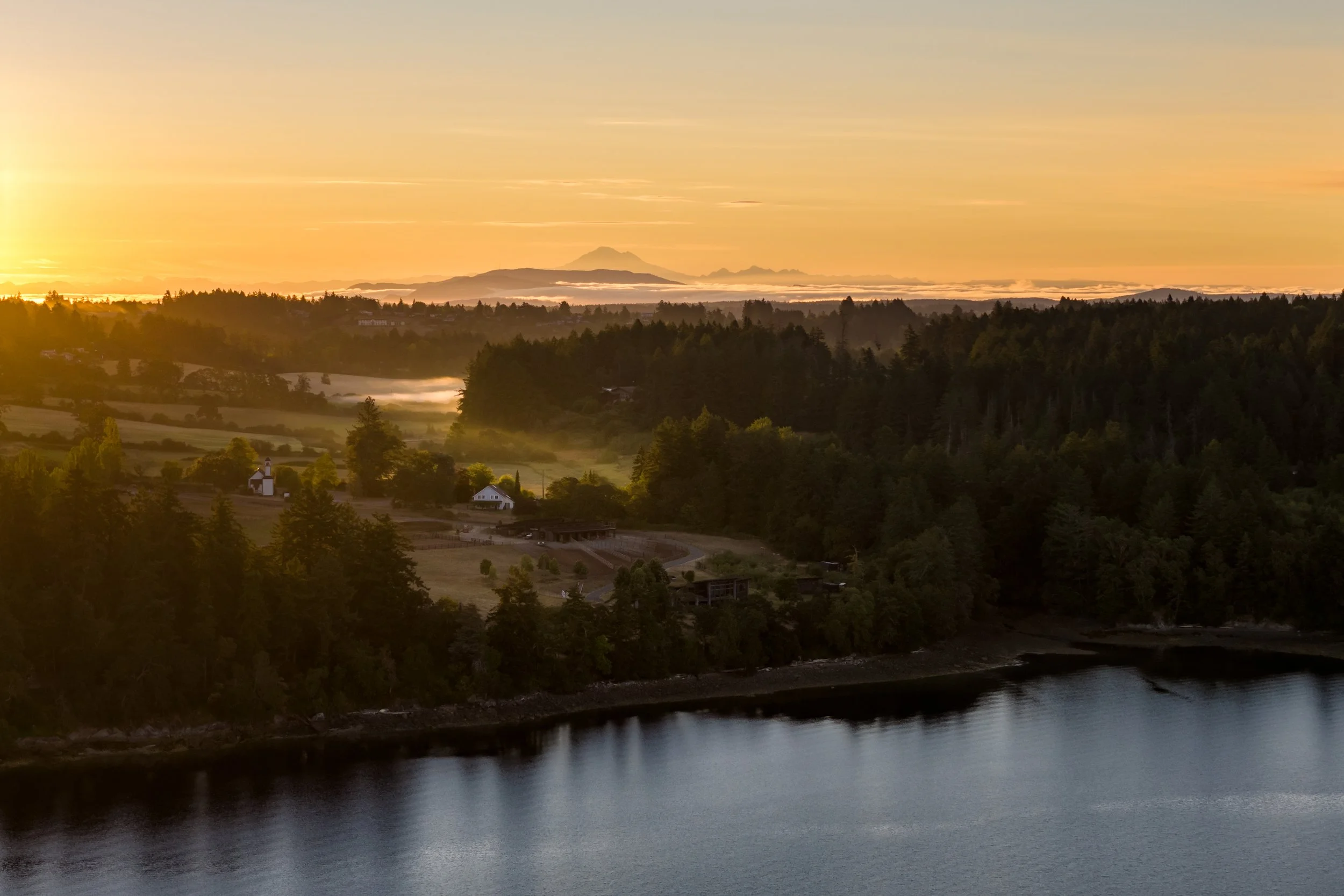 Saanich00267.jpg