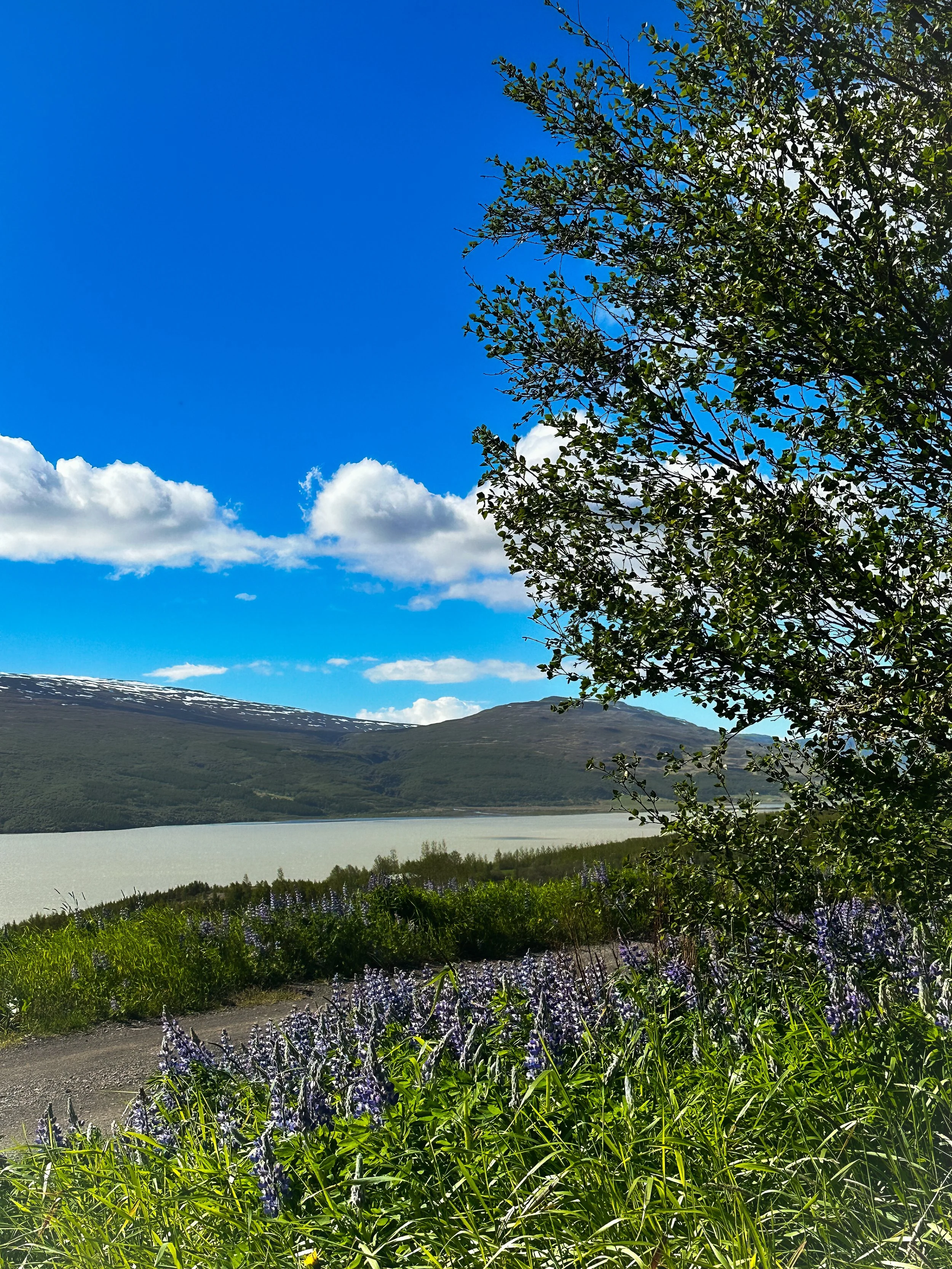 Lake Lagarfljót