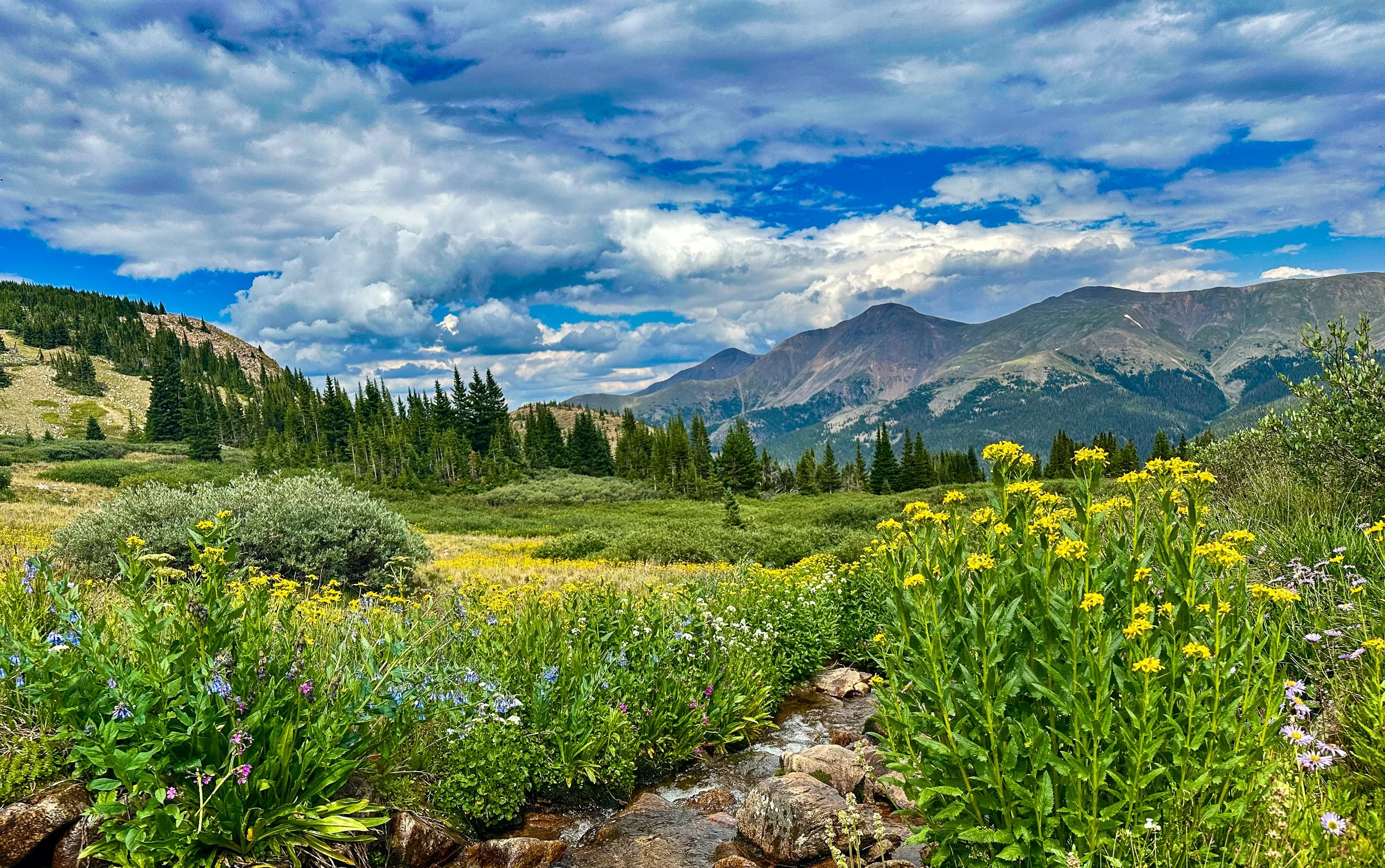 Arapahoe National Forest, Colorado Rockies