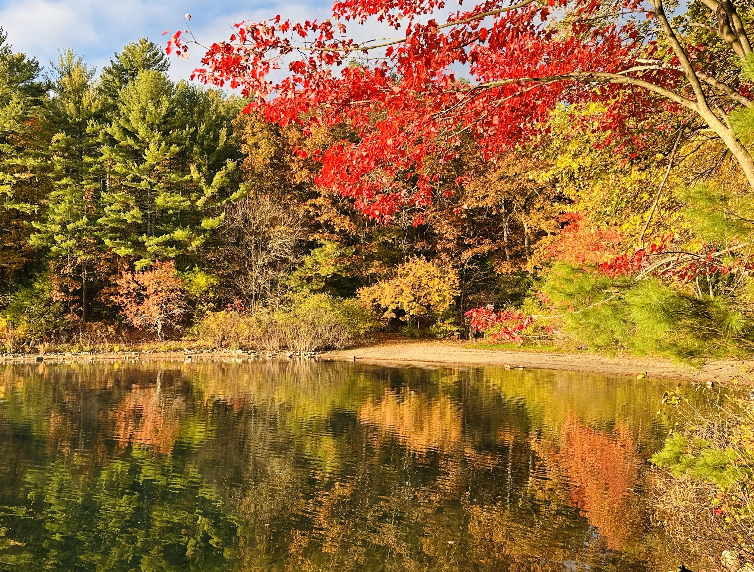 Walden Pond, Massachusetts 