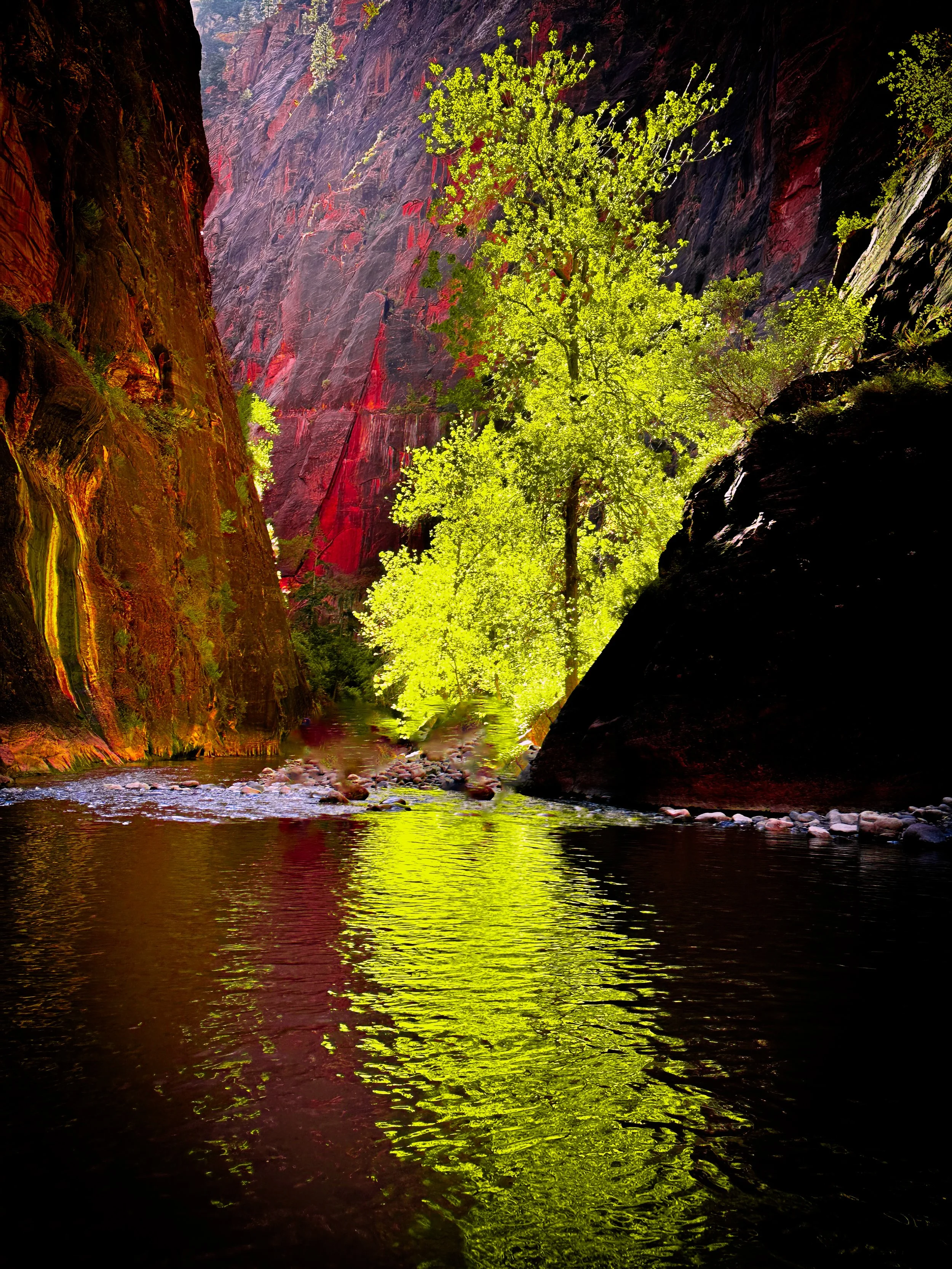 The Narrows, Zion